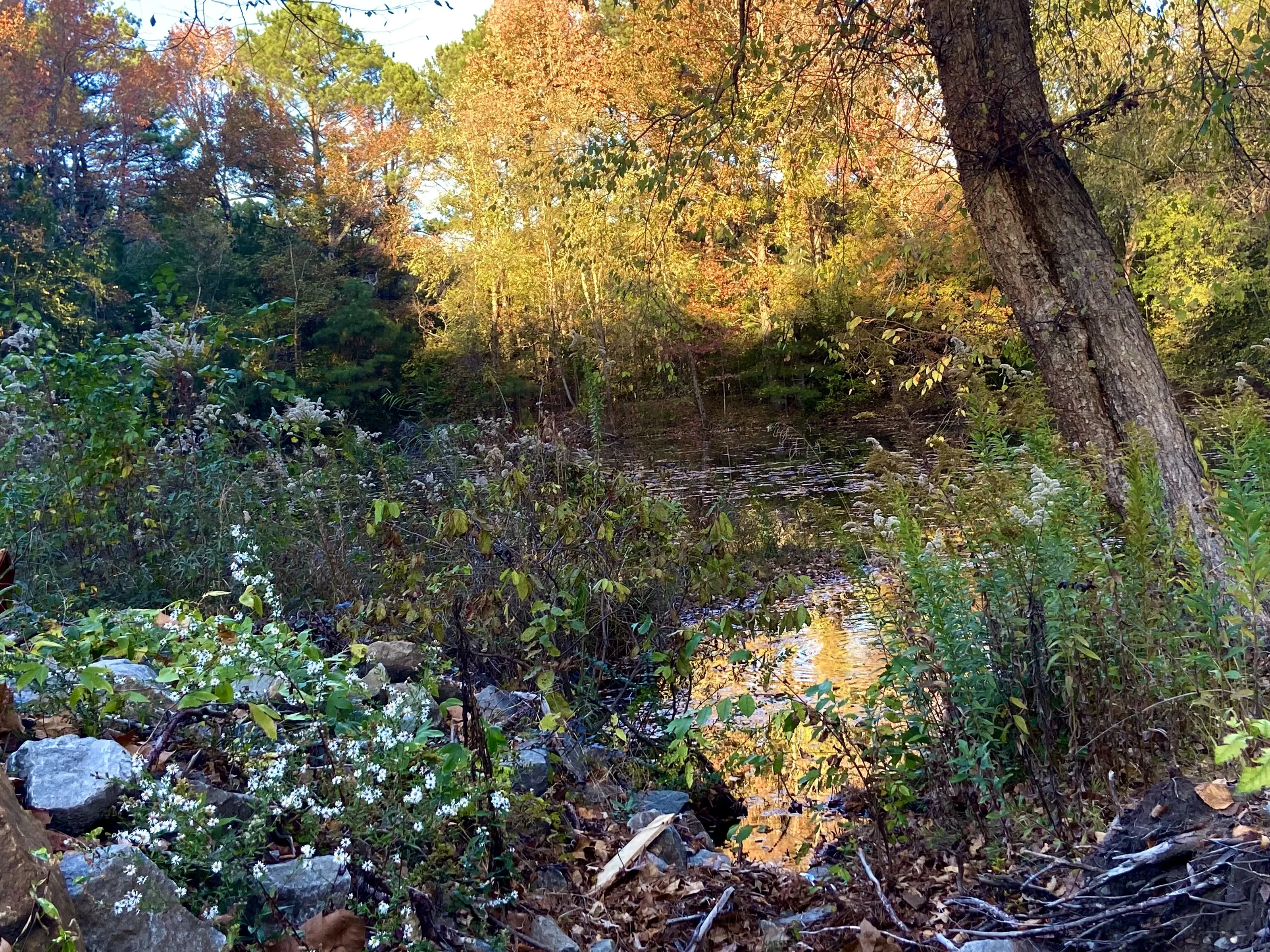 Hidden places