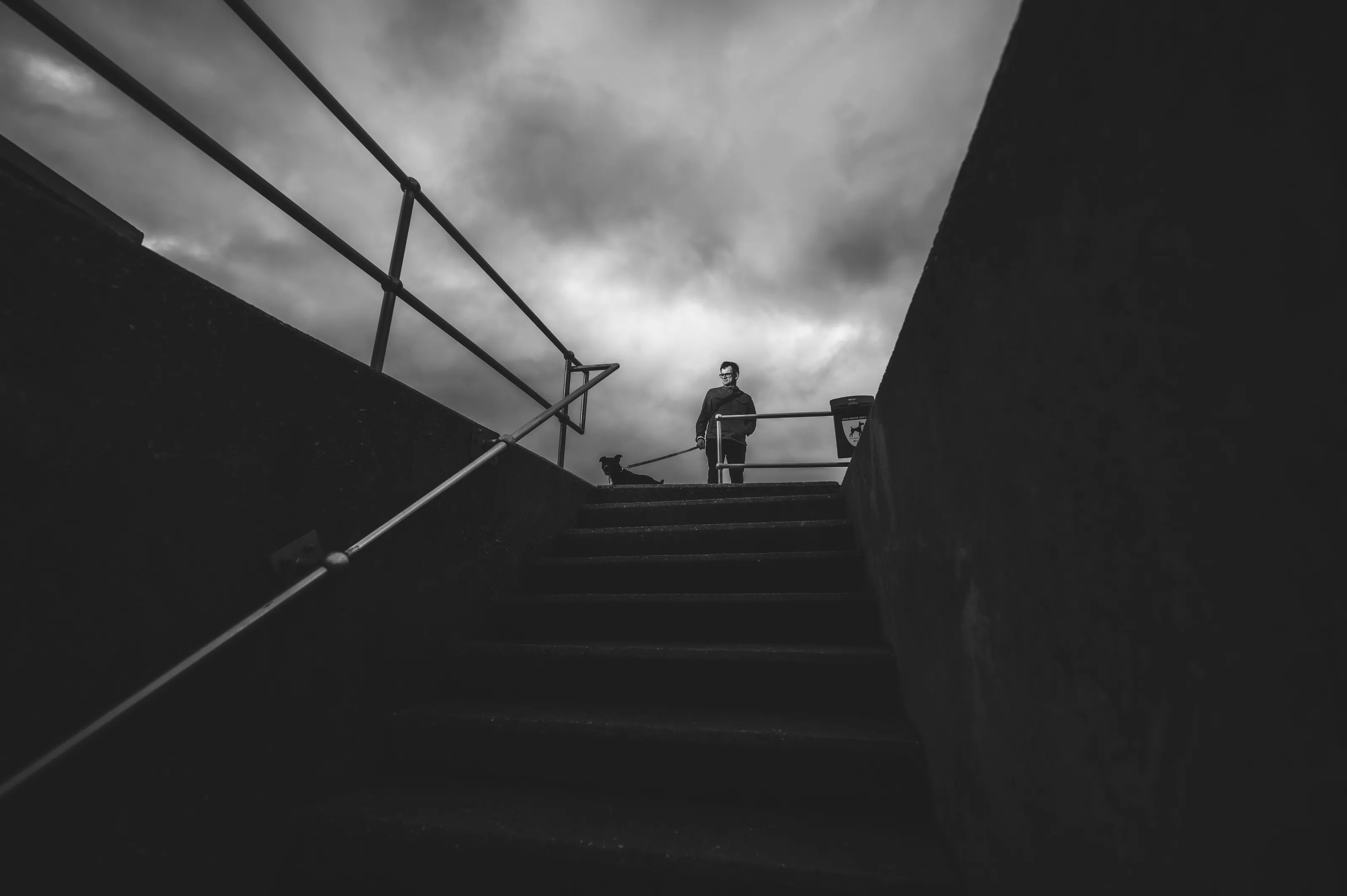 Man and dog