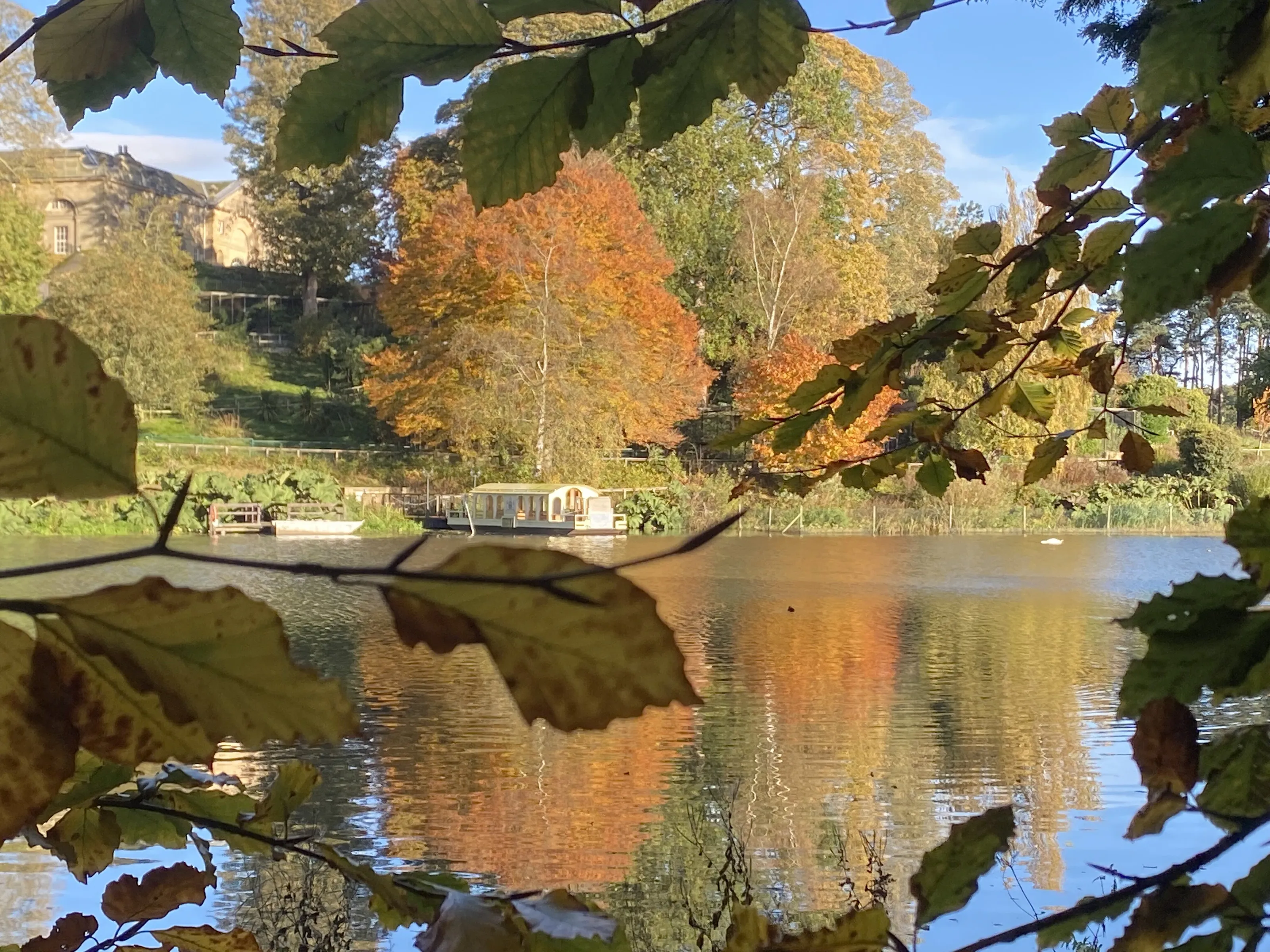 Autumn at Harewood