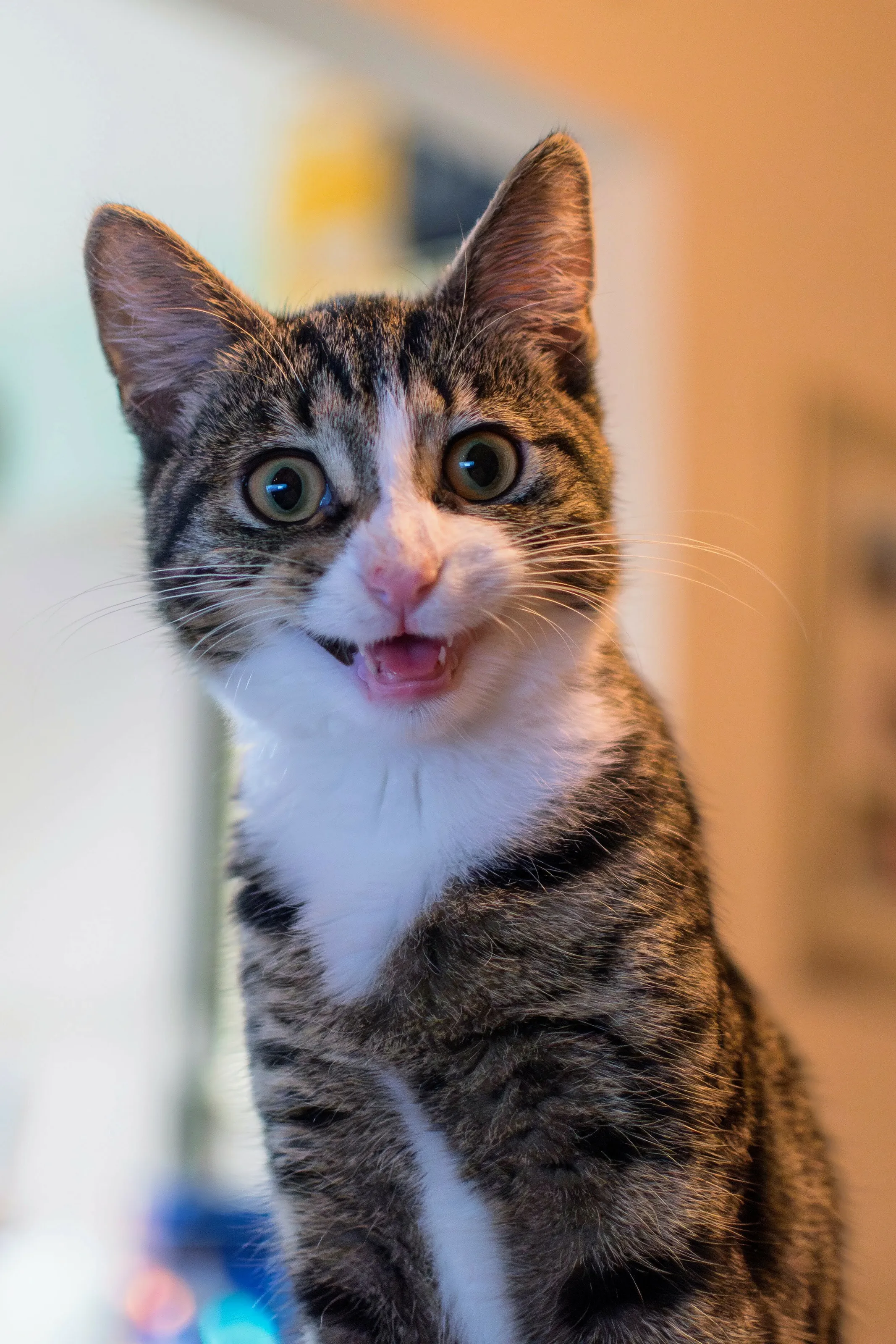 Smile for the camera!