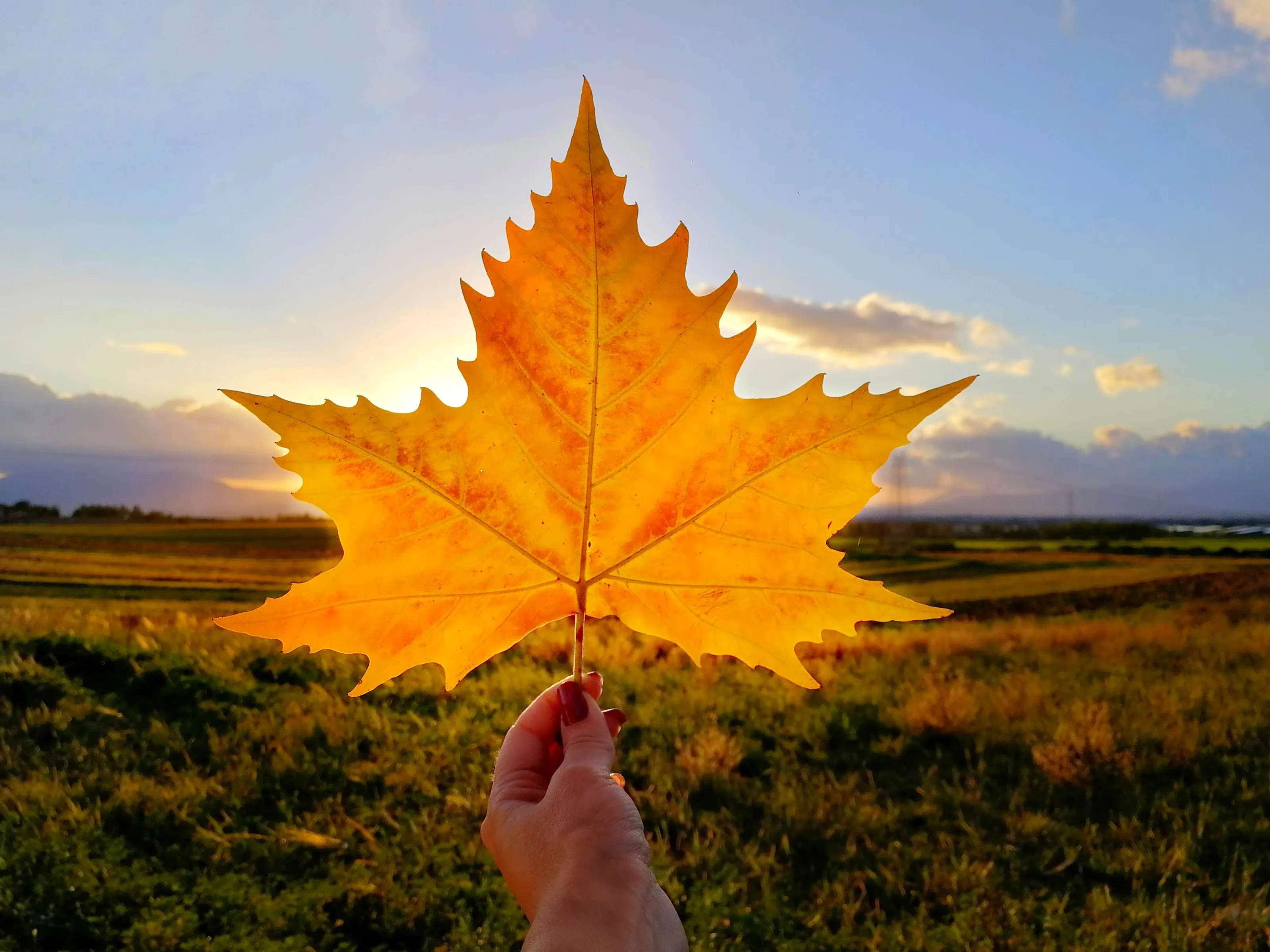 Autunno