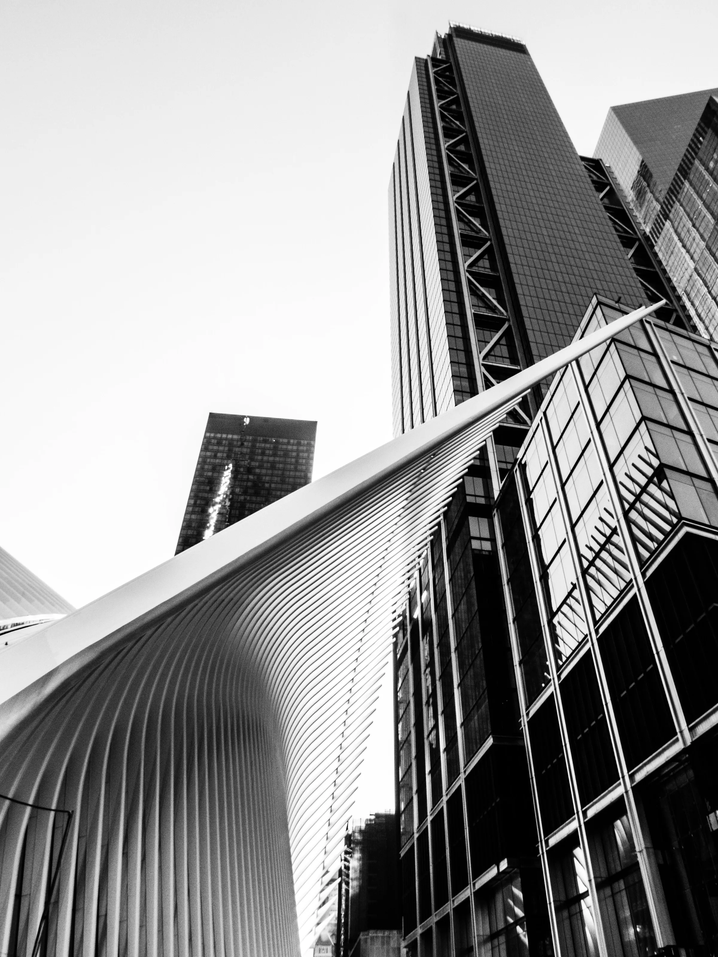New York Oculus