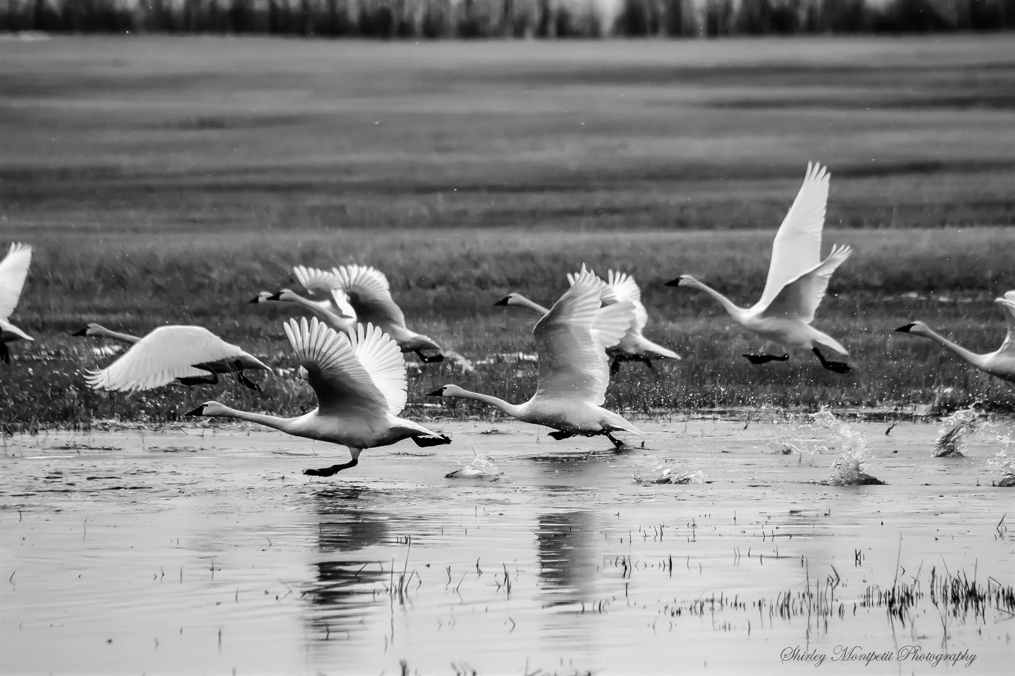 Graceful Liftoff