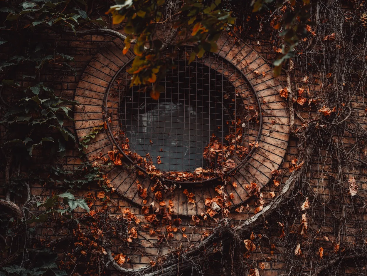 Entry 20858139