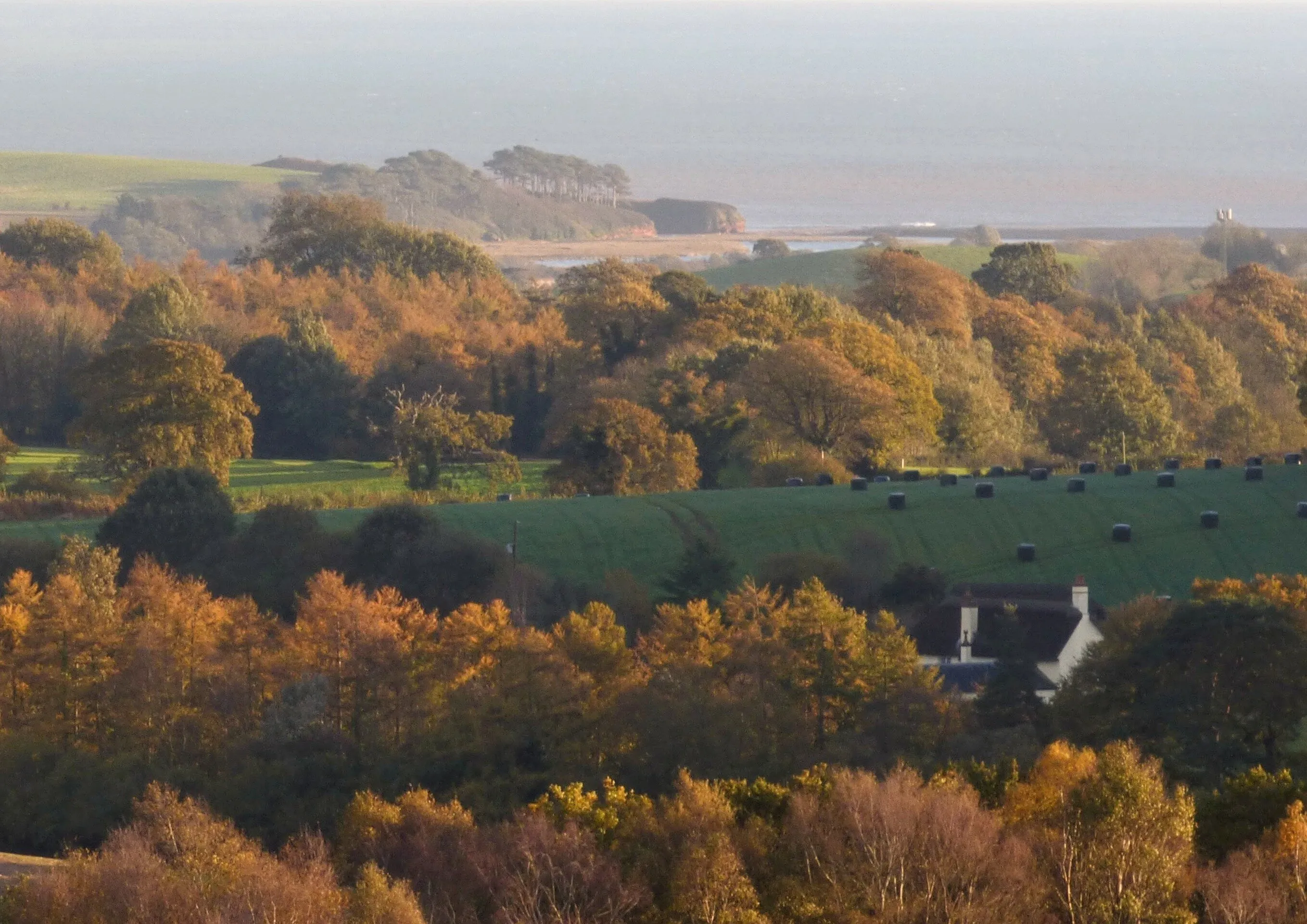Woodbury Common East Devon