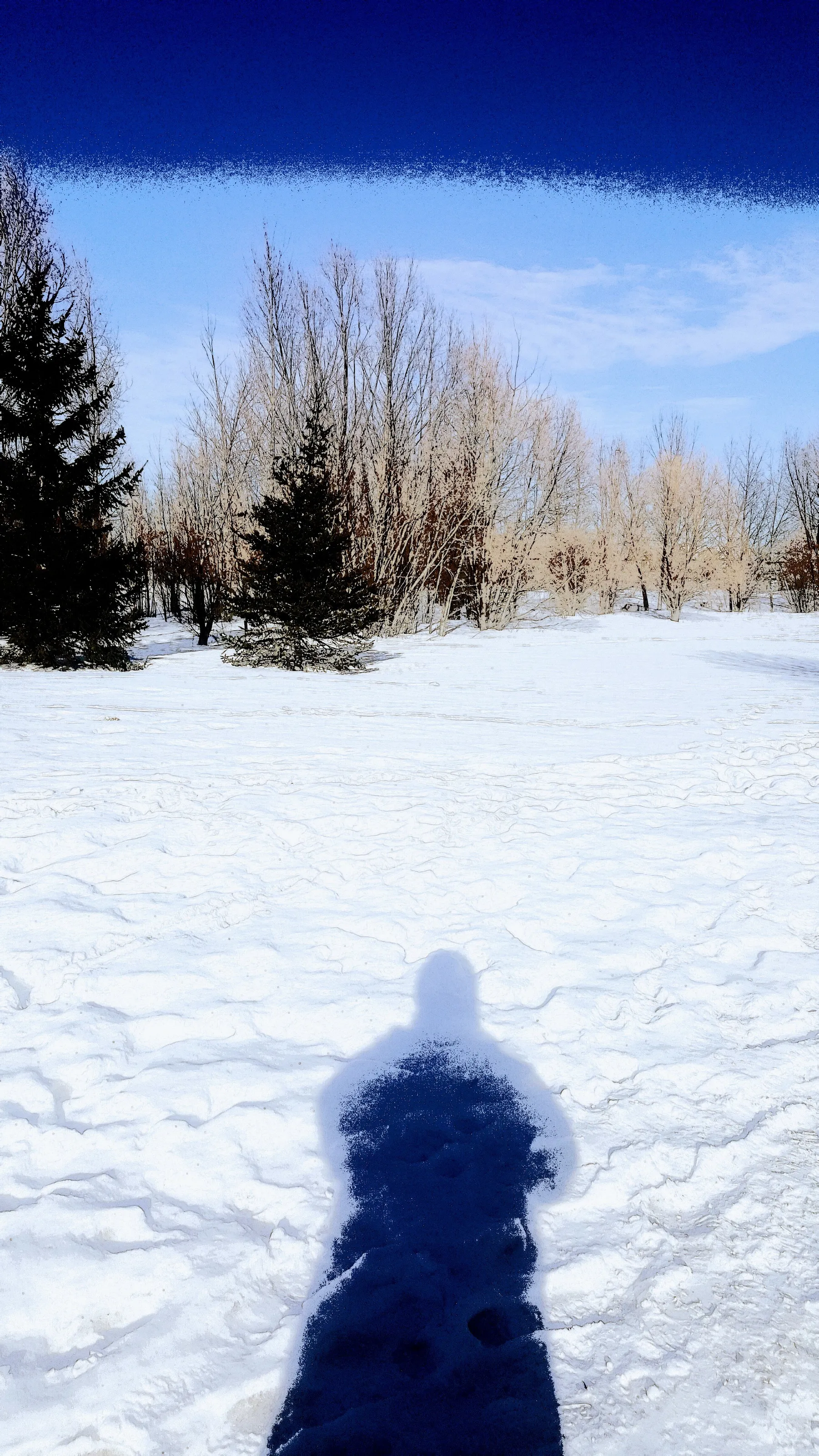 Frozen