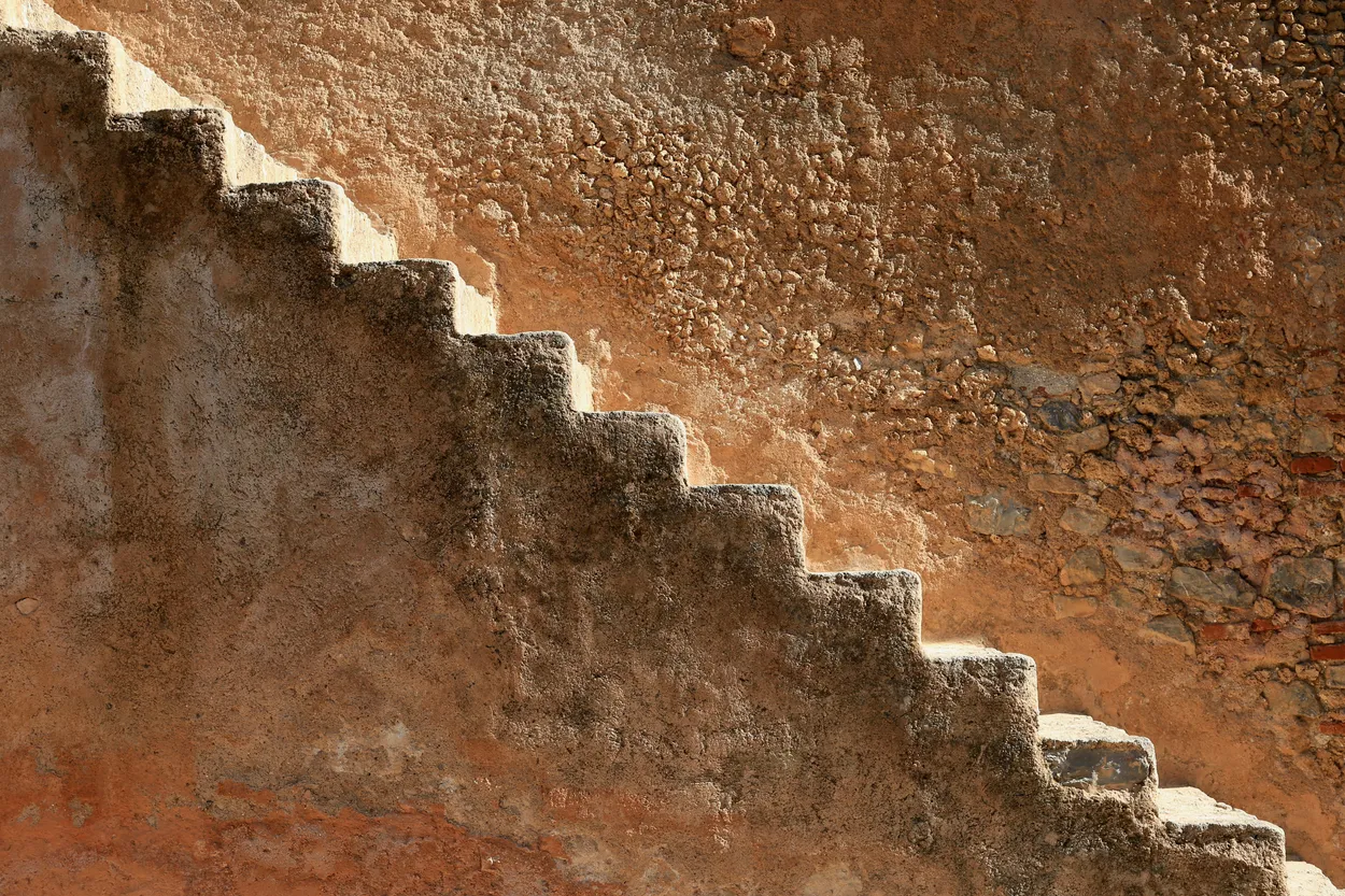 Entry 19155130