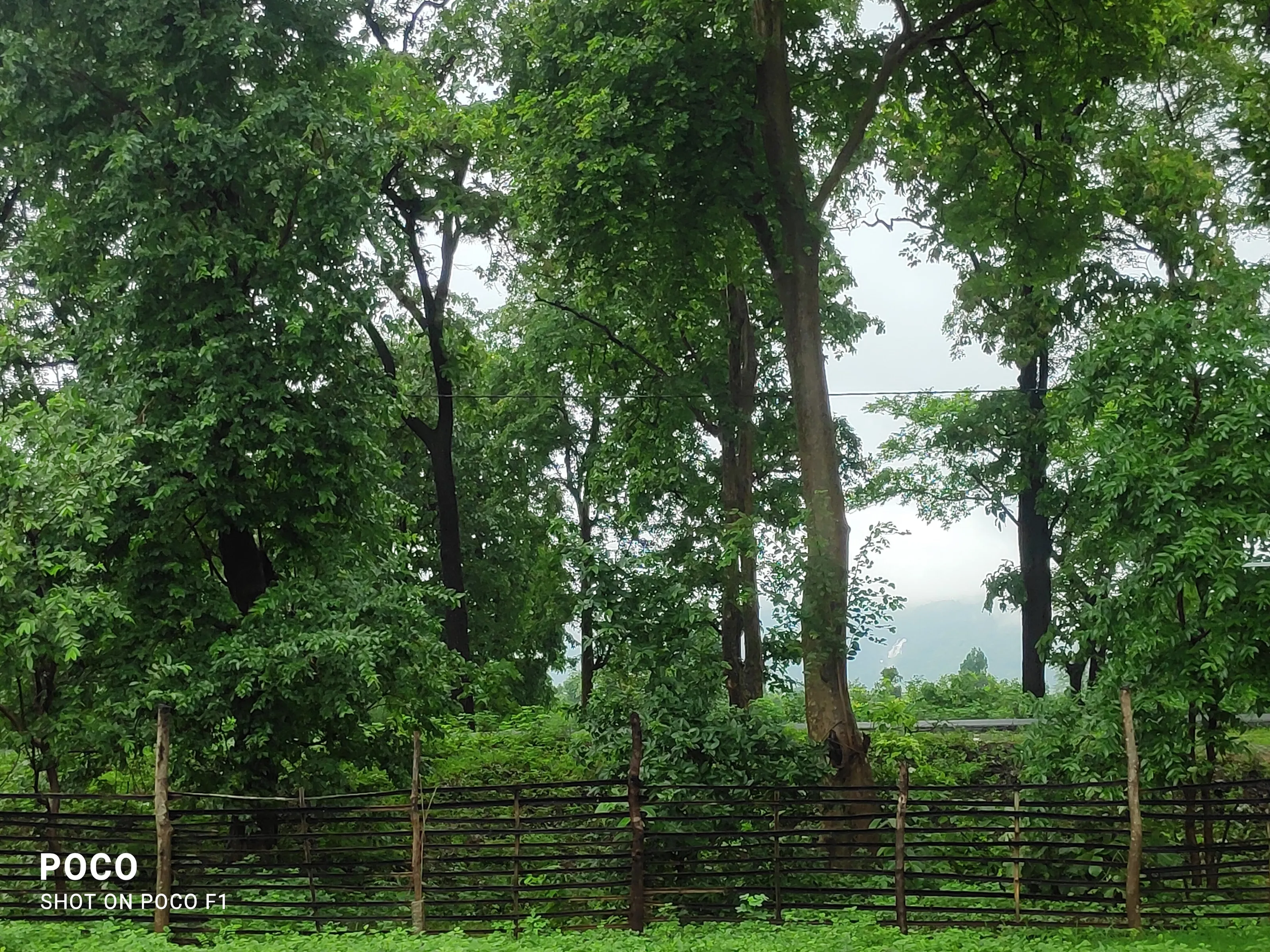 Adopt the pace of nature