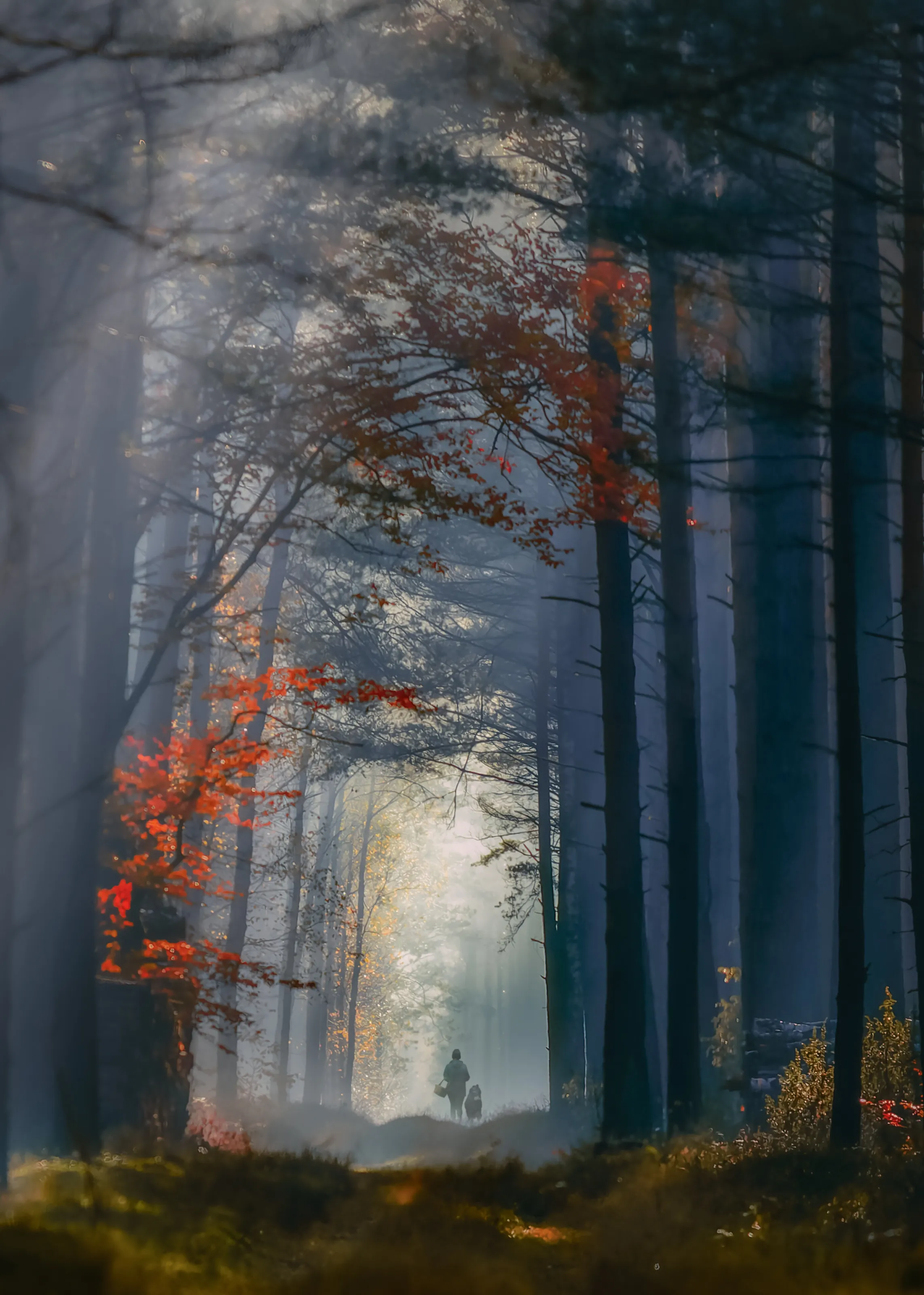 Autumn walk.