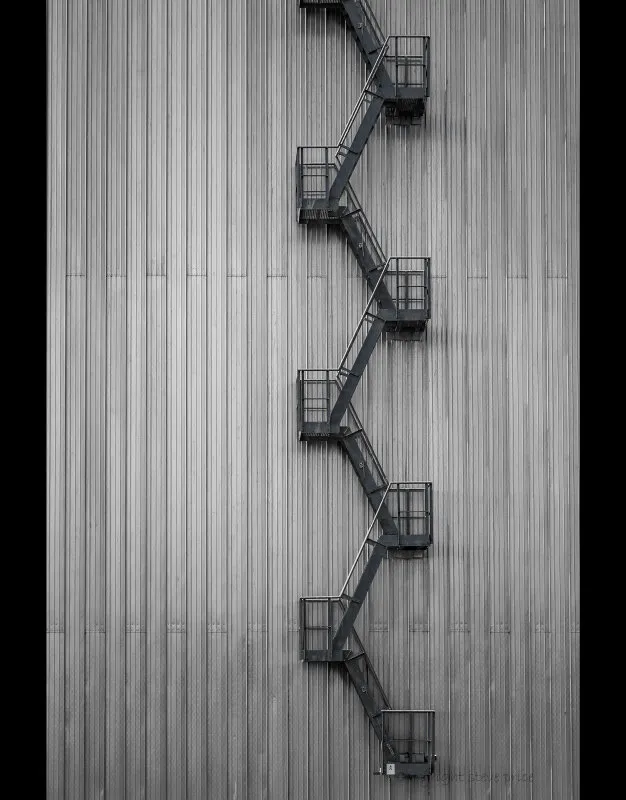 Entry 18556455
