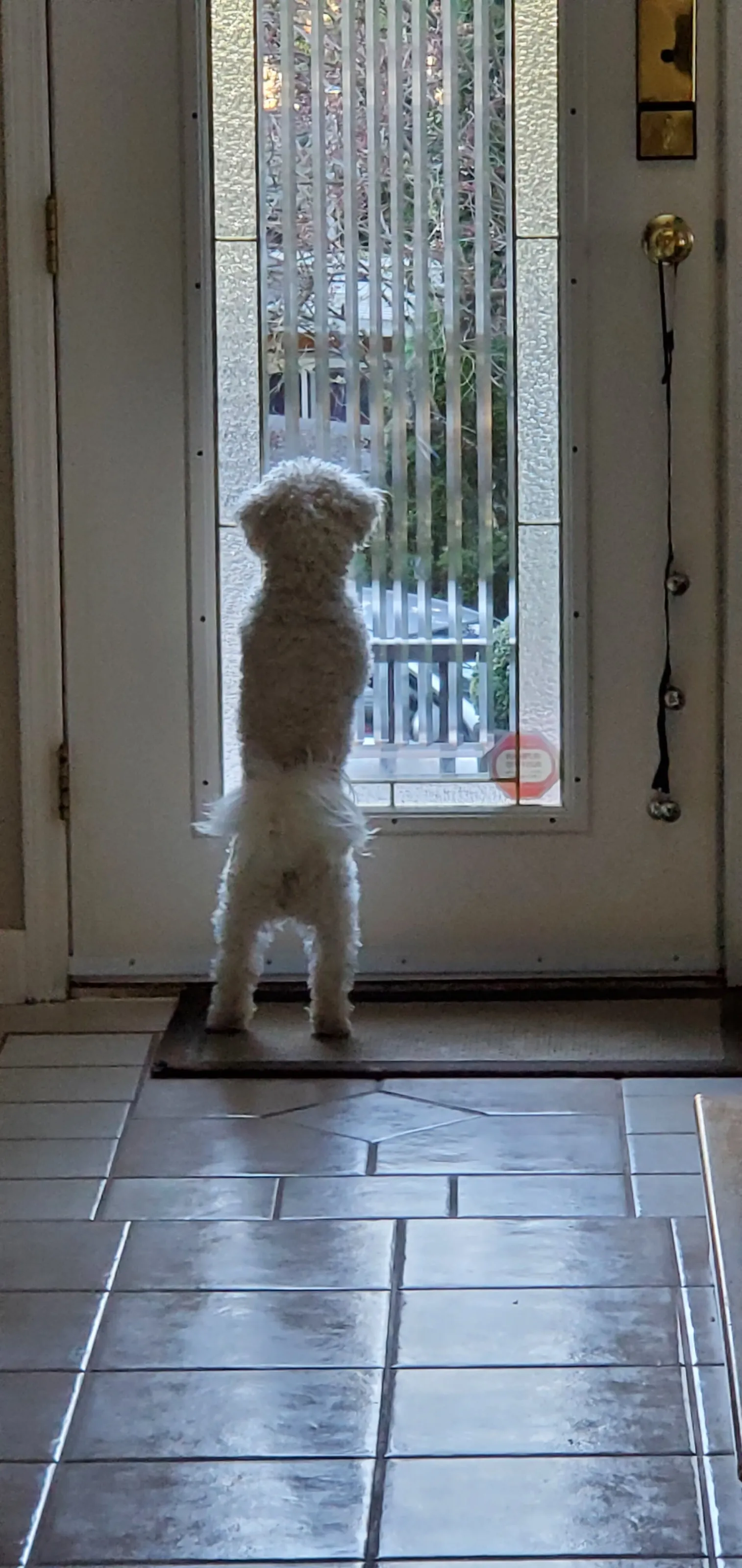 Who's there?
