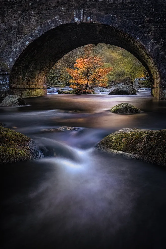 Autumn bridge P