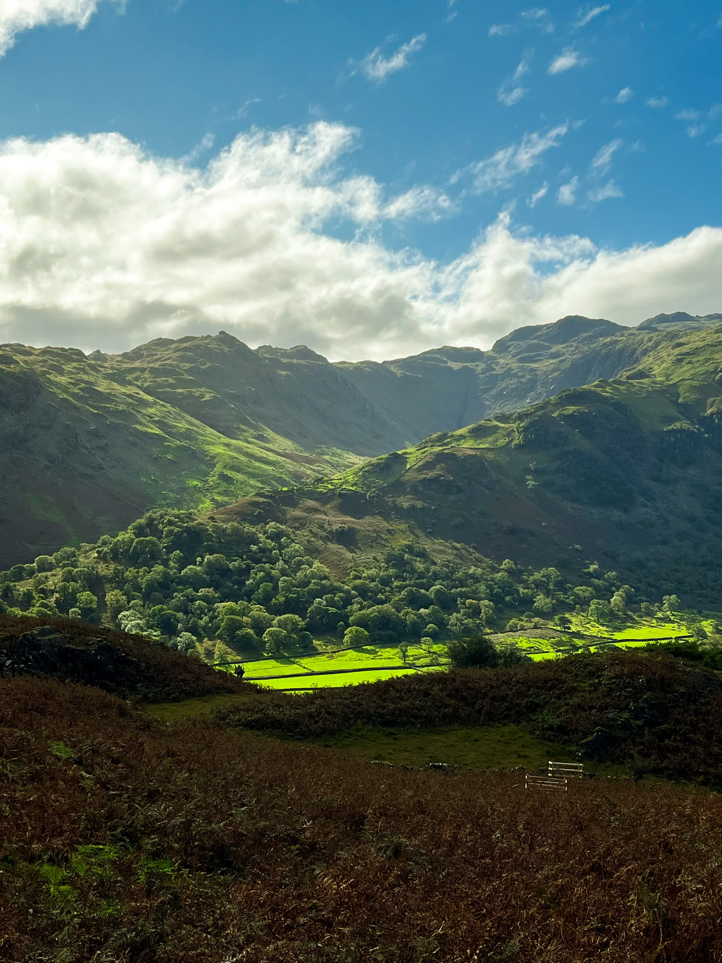 View from Castle Crag.