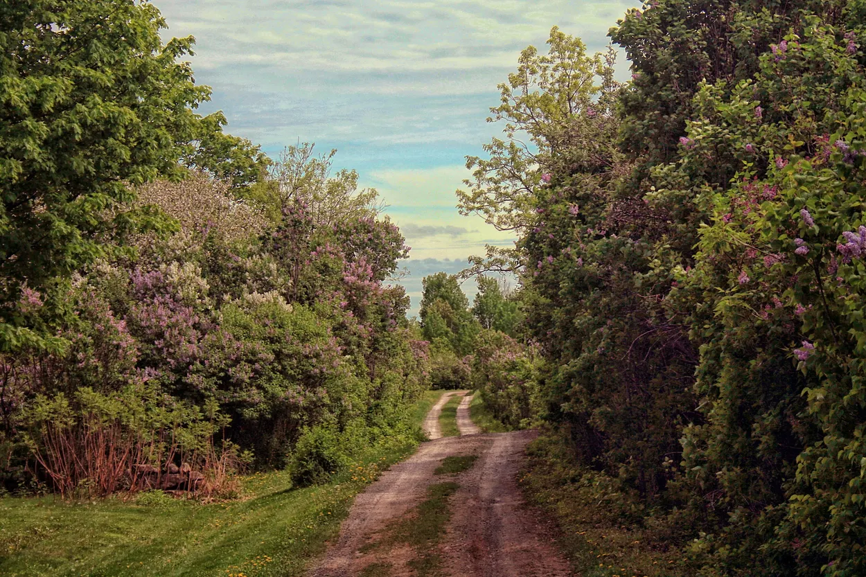 Entry 22103767