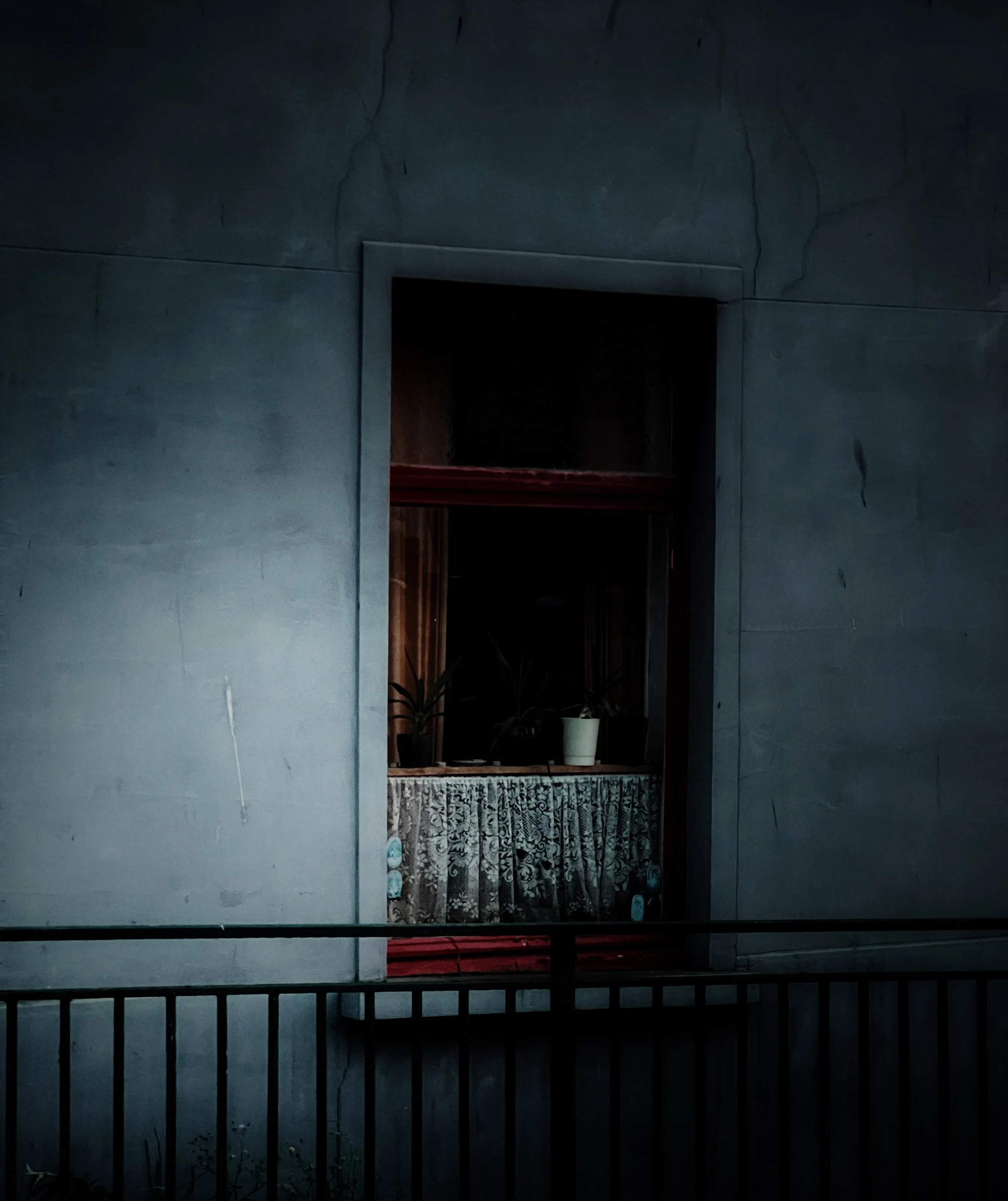 Banner image