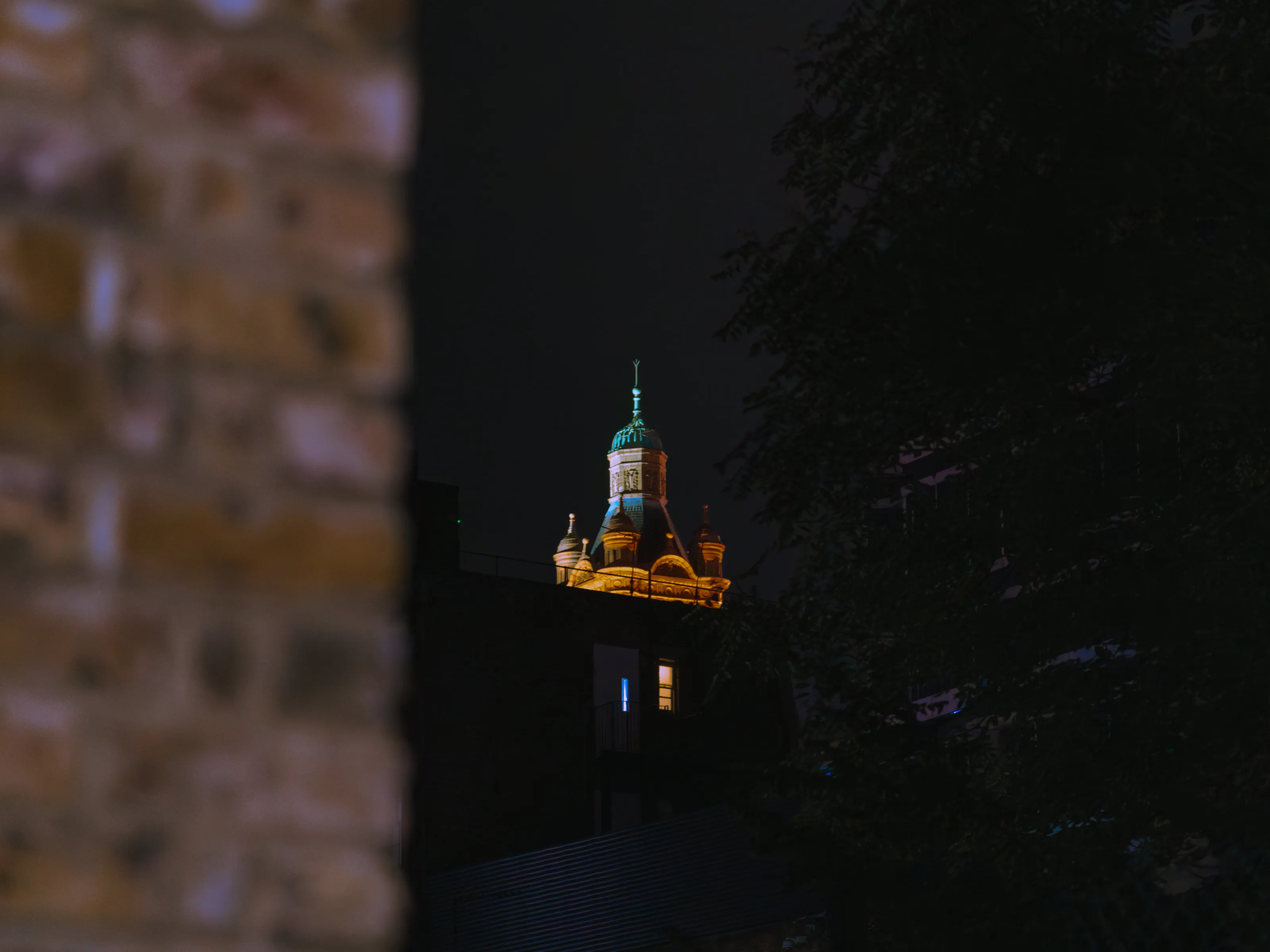 Banner image