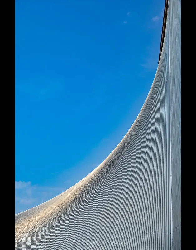 Entry 19234408