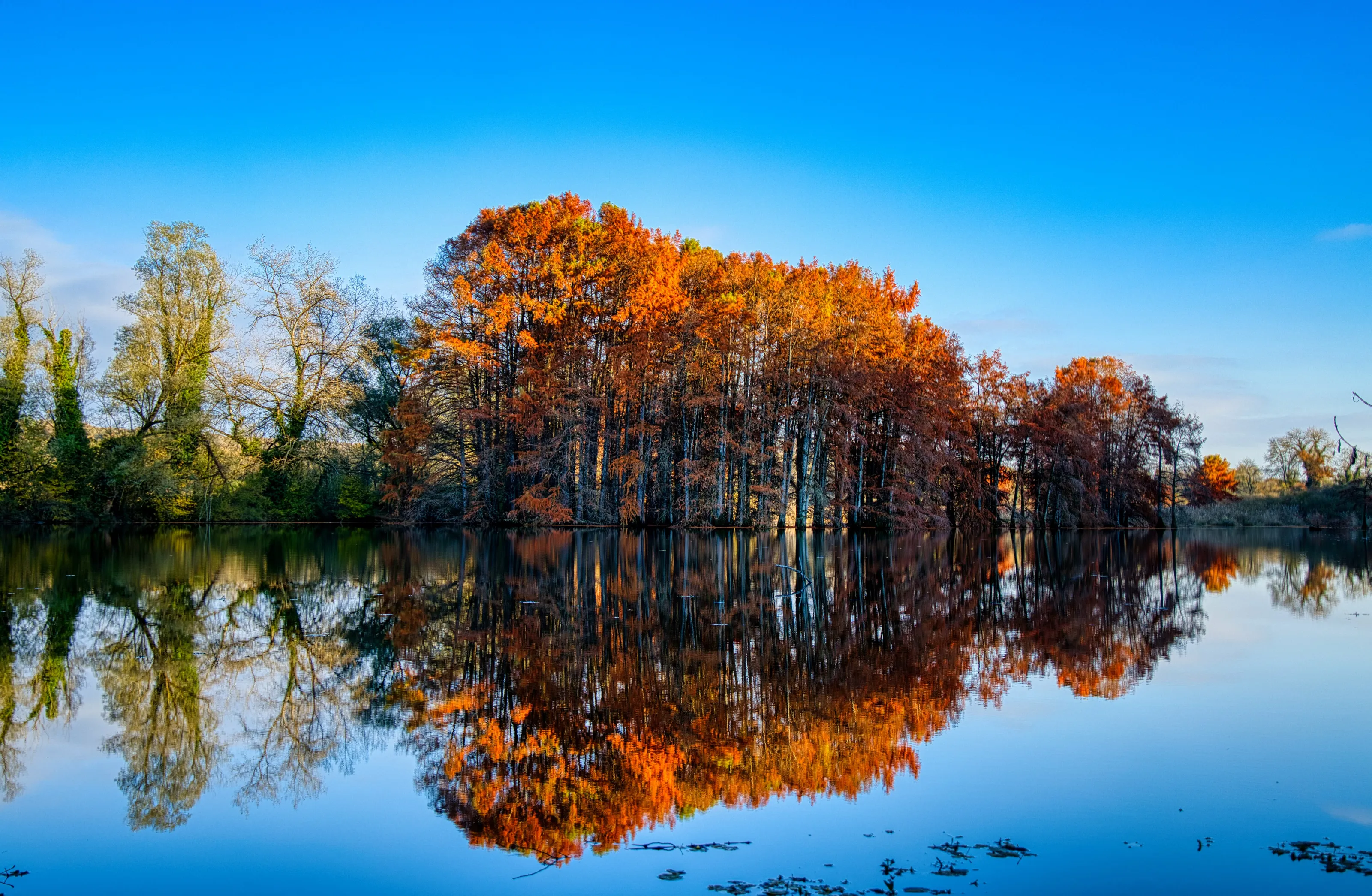 Autumn reflections