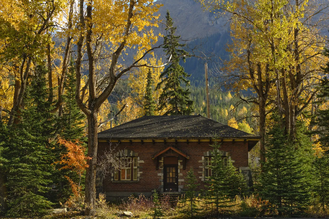 Entry 18623113