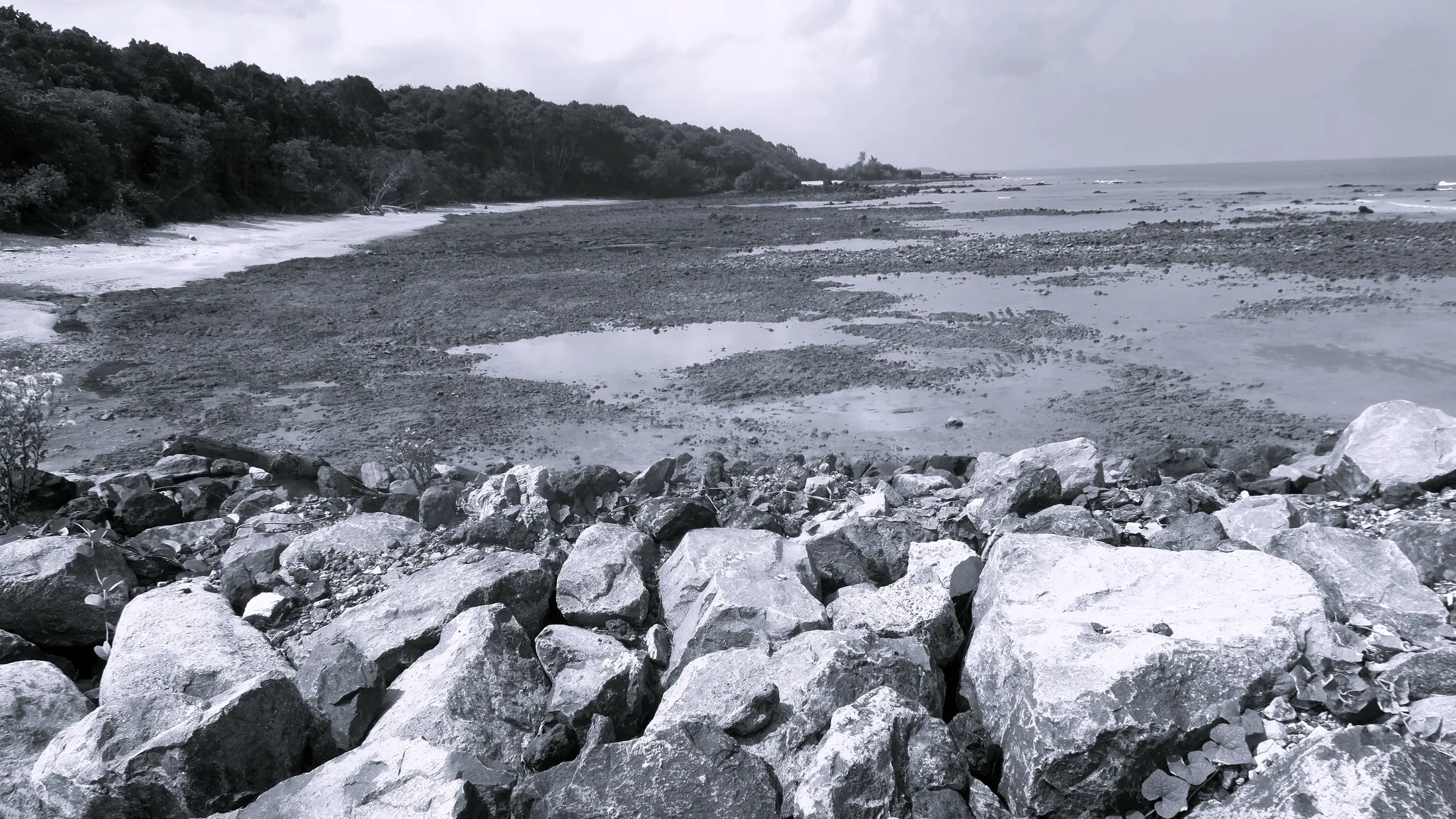 Rugged Coast at Dearu Coast Ferry Terminal