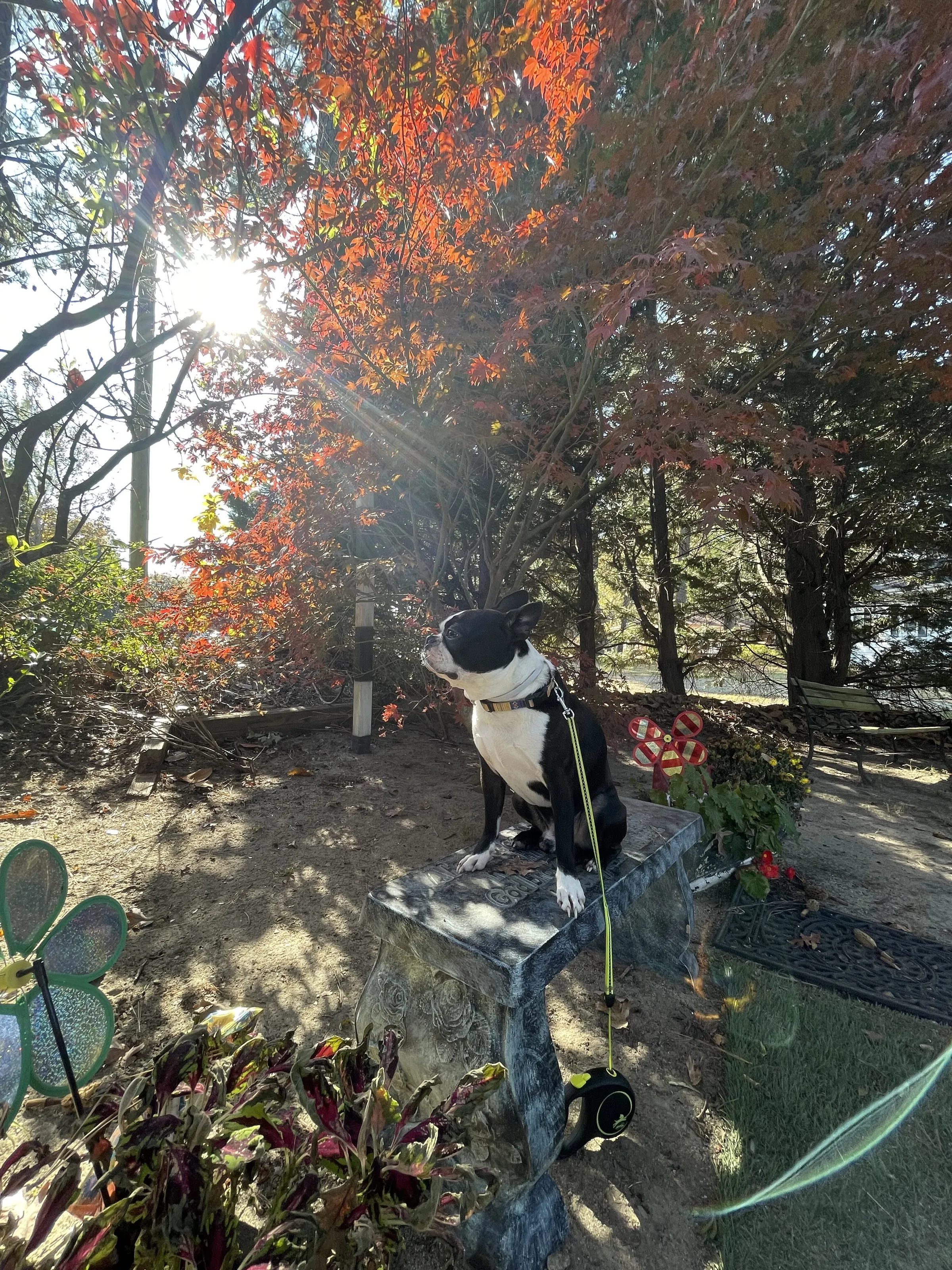 Boston’s Morning Meditation