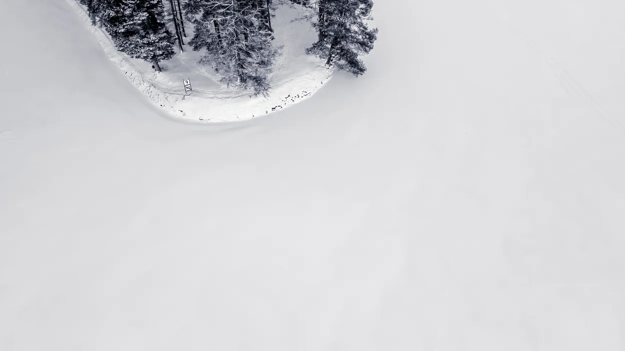 Entry 18663596