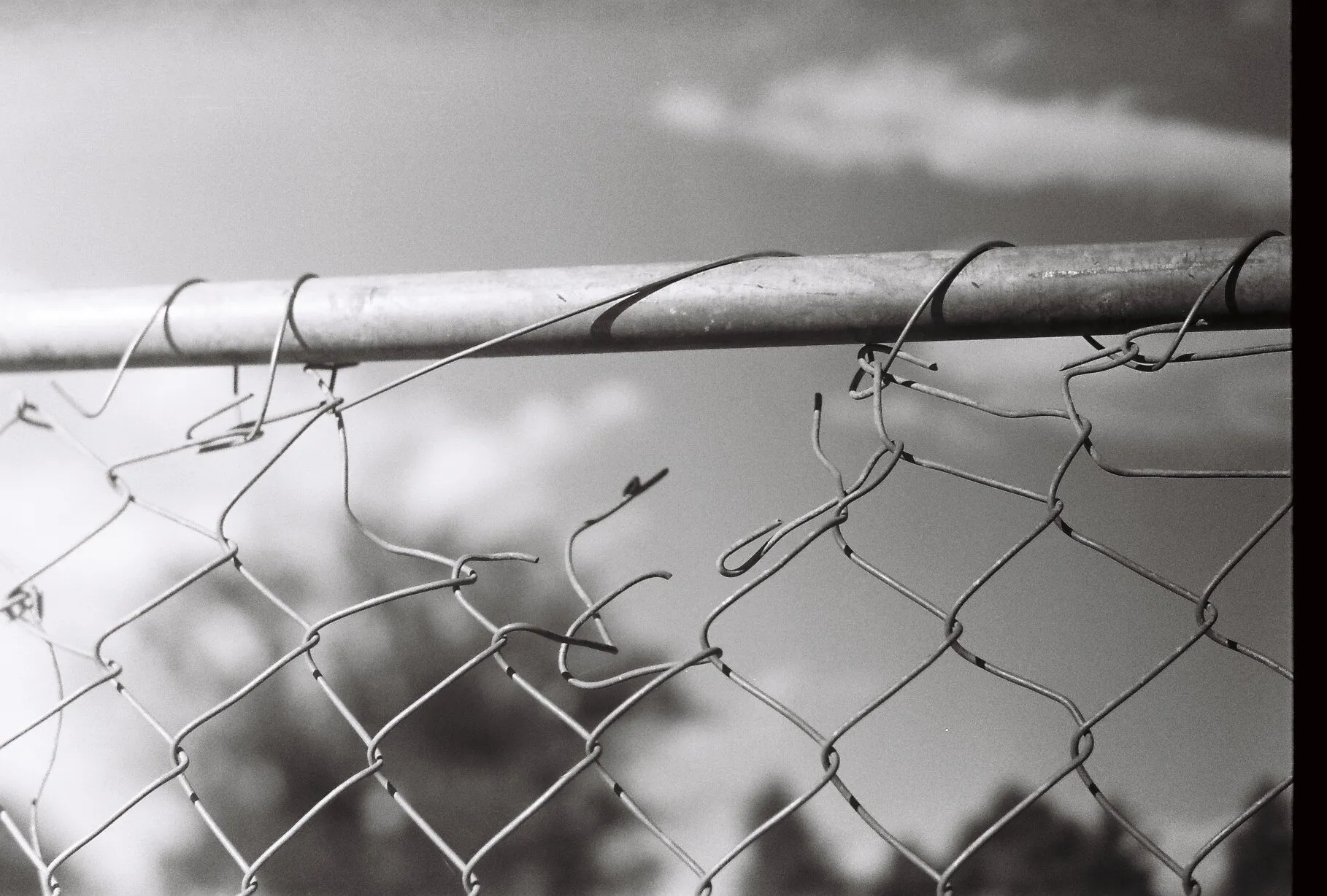 rust + fence