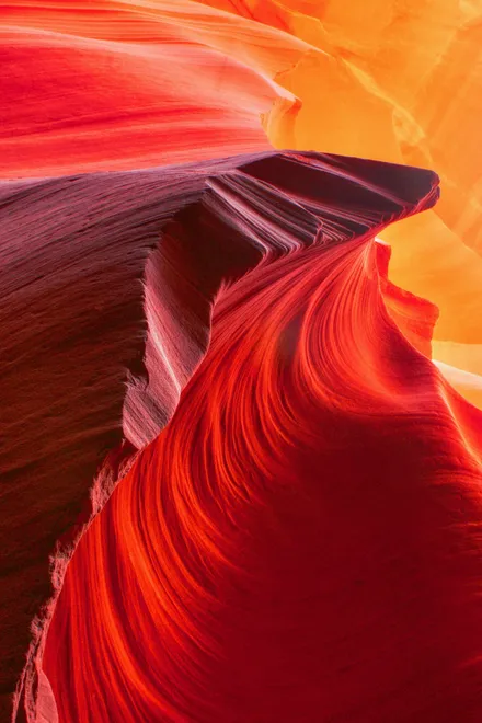 Red Wave