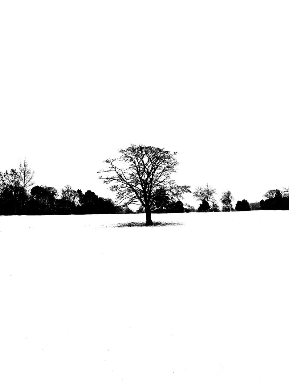 Entry 19042950