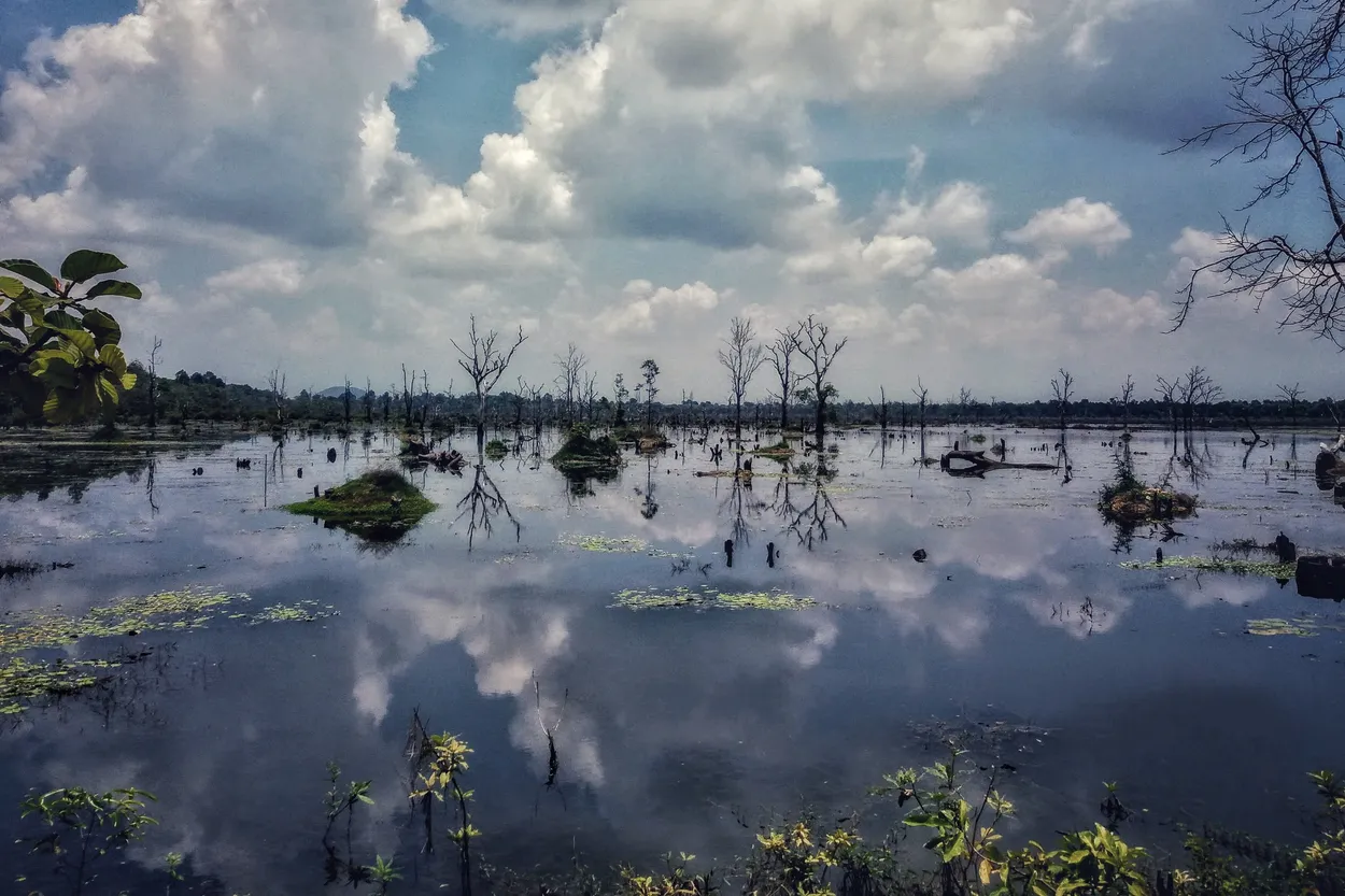 Entry 18691514