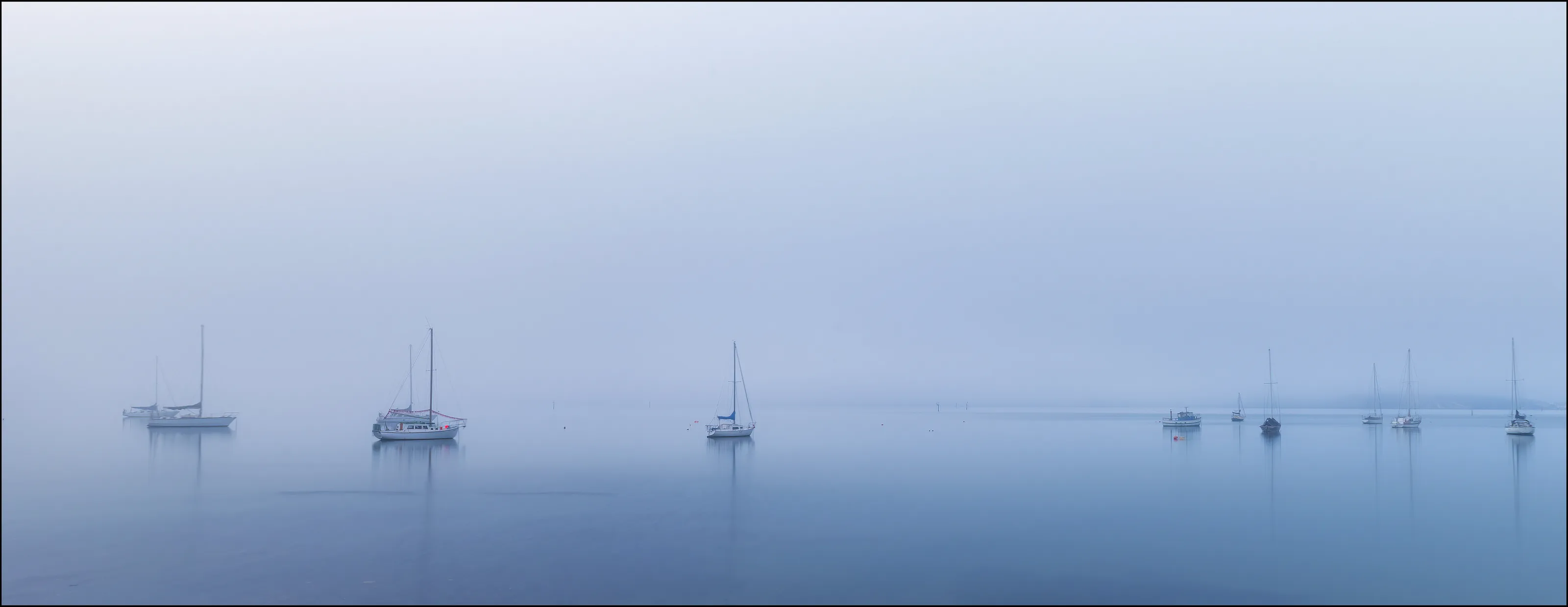 Misty Morning