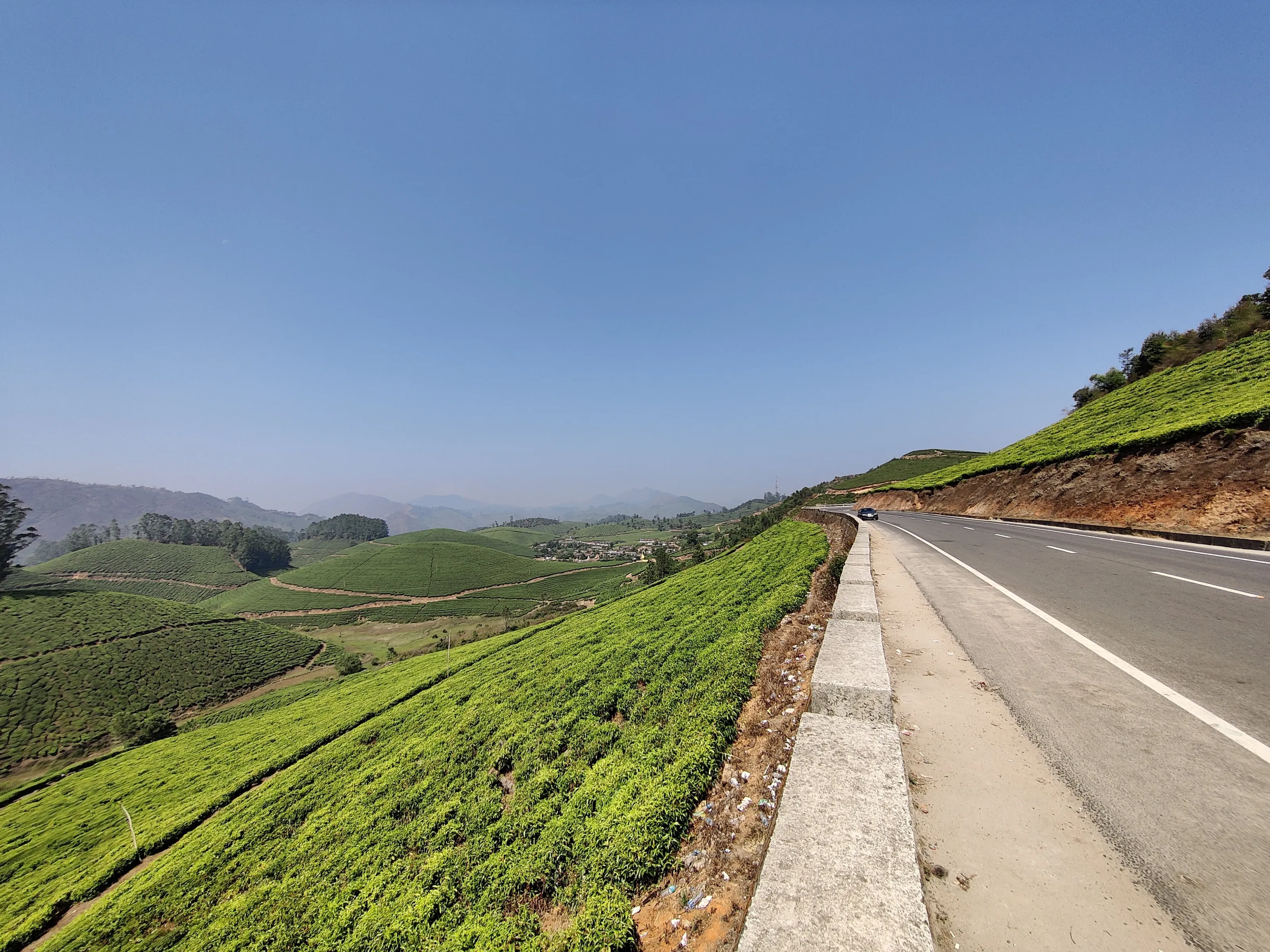 Tea Plantations