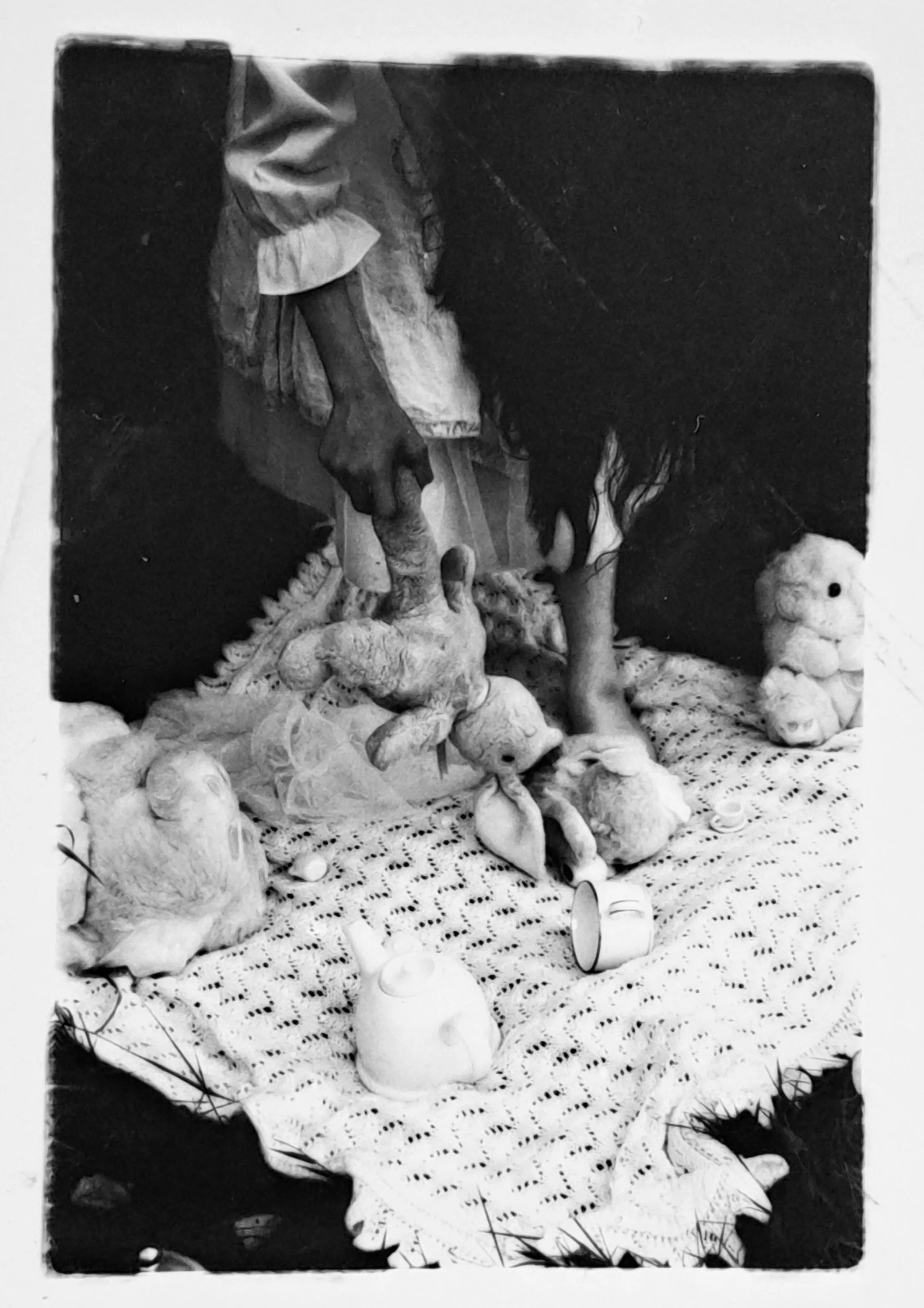 Rabbit