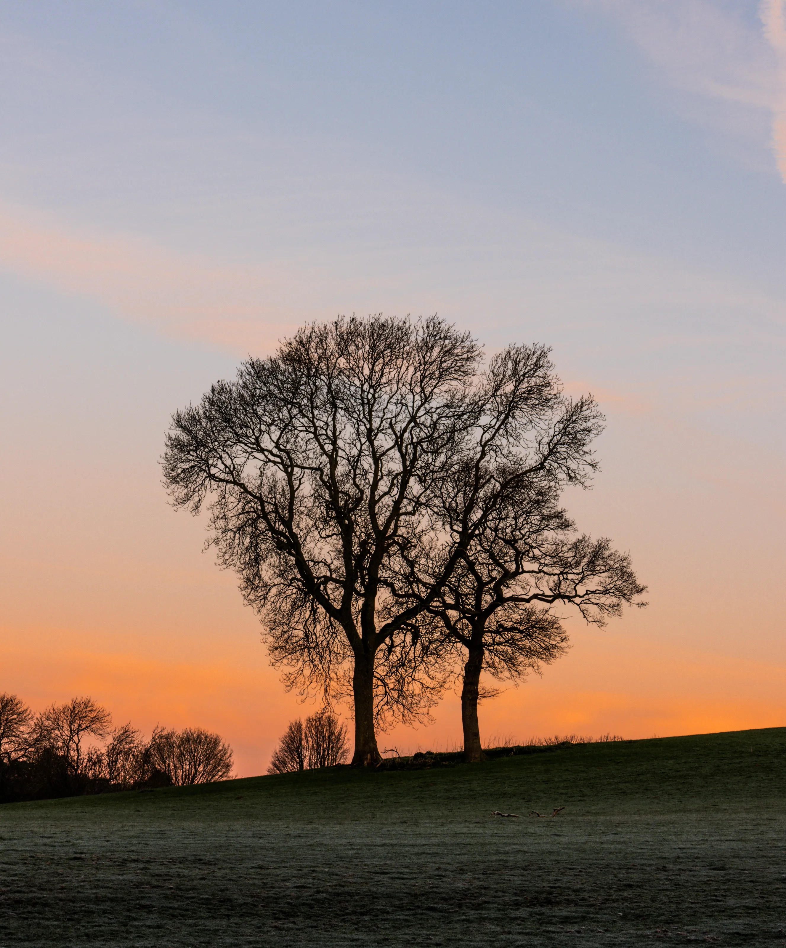 Silhouette at sunrise