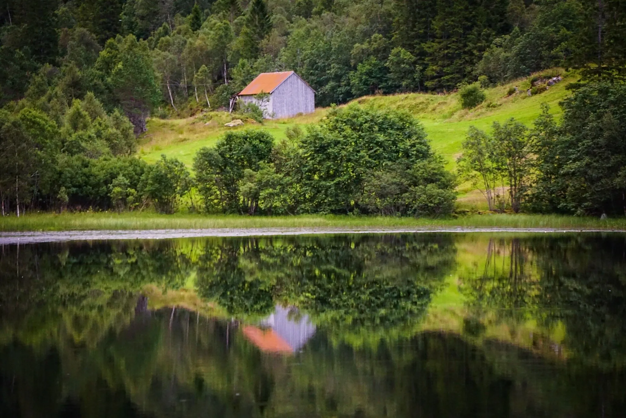 Old shed by a lake