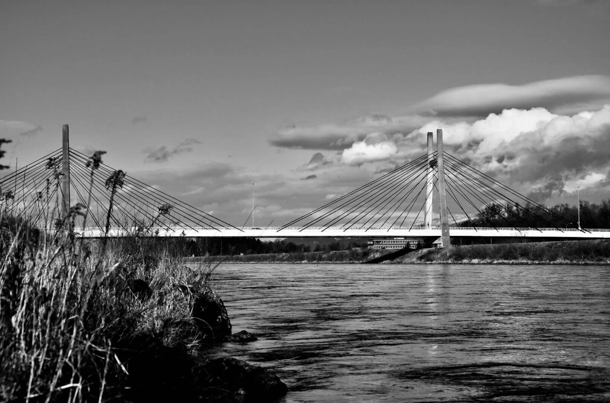 Bridge