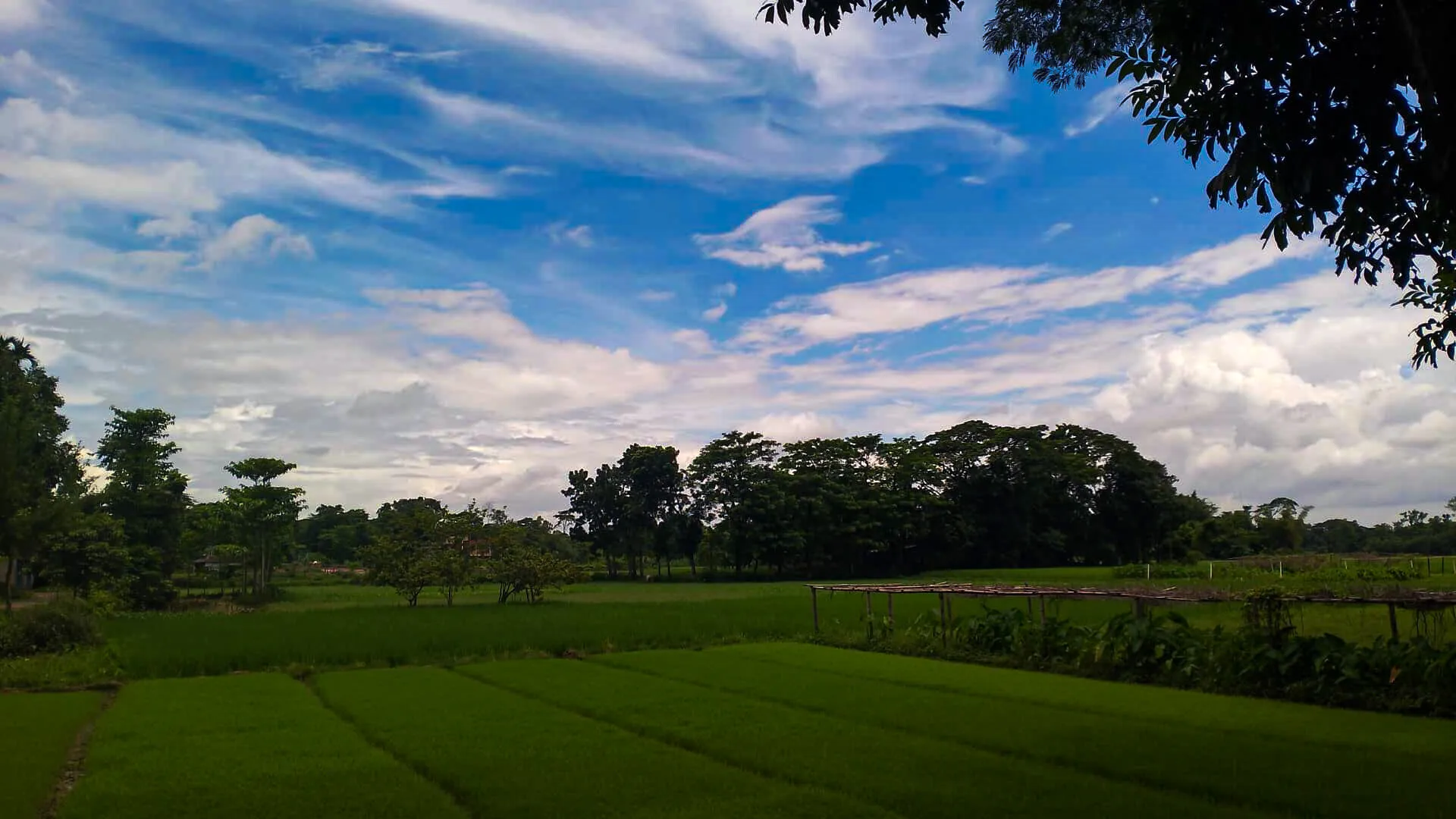 Beautiful Green View of Land and Sky