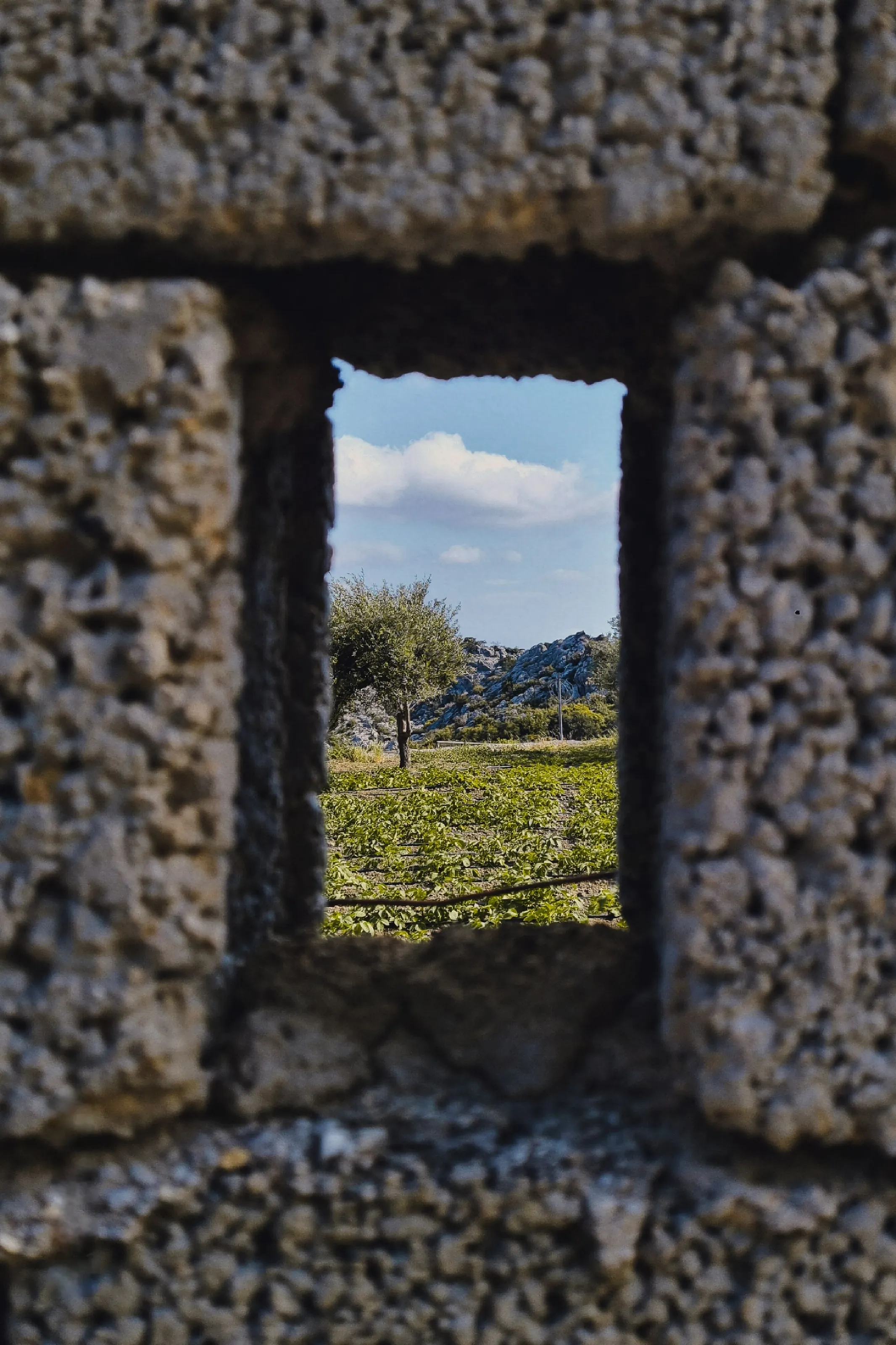 Worldwindow