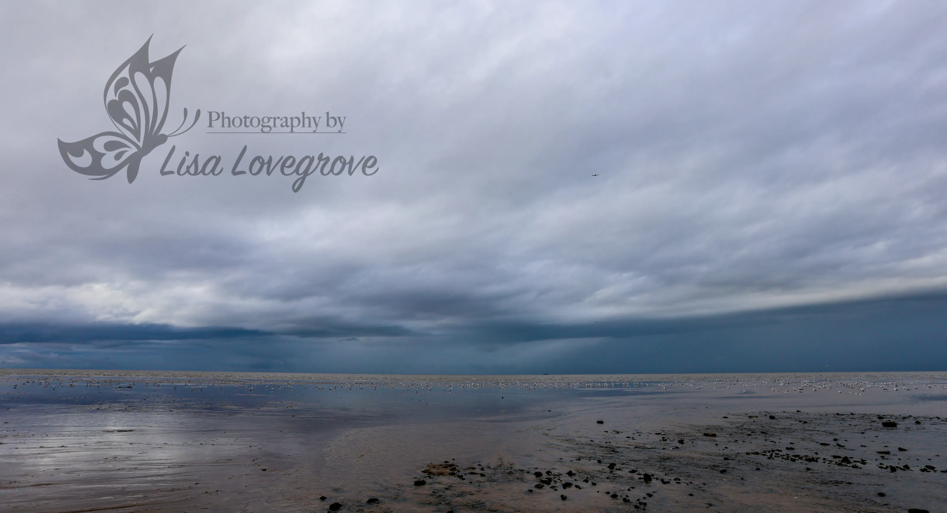 Stormy Shores