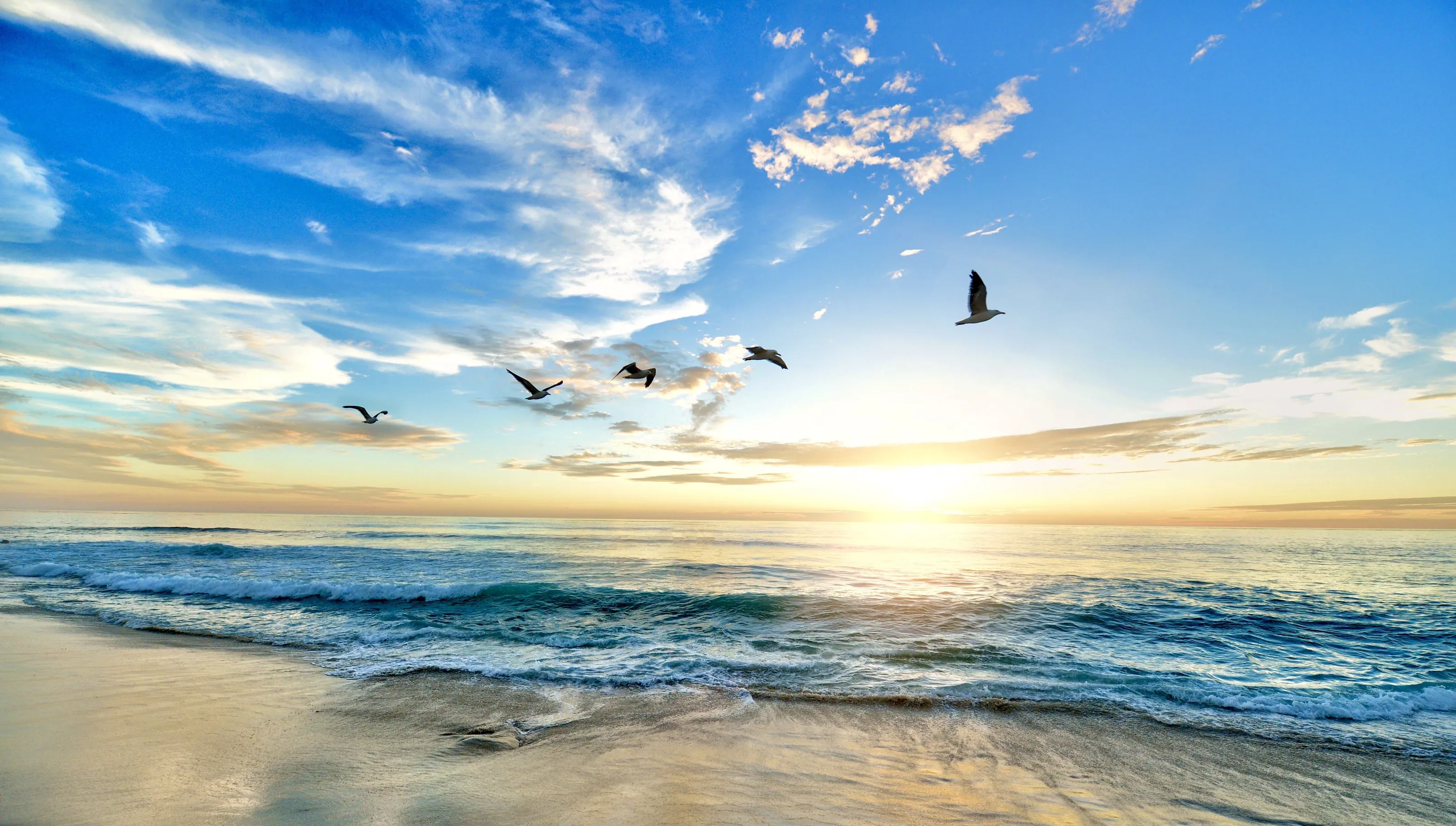 Turtle beach, Florida