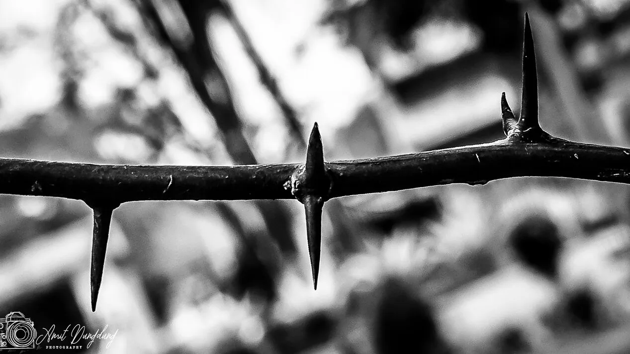 Running among thorns!
