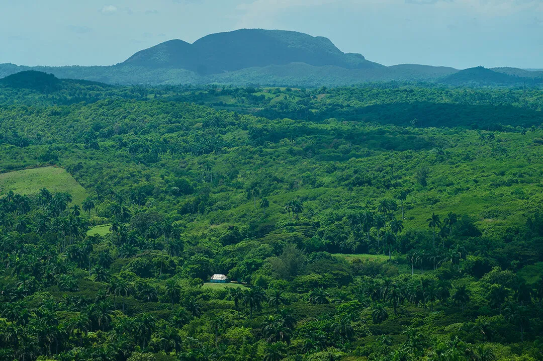 Yumurí valley