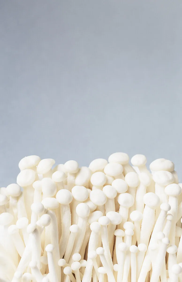 Enoki