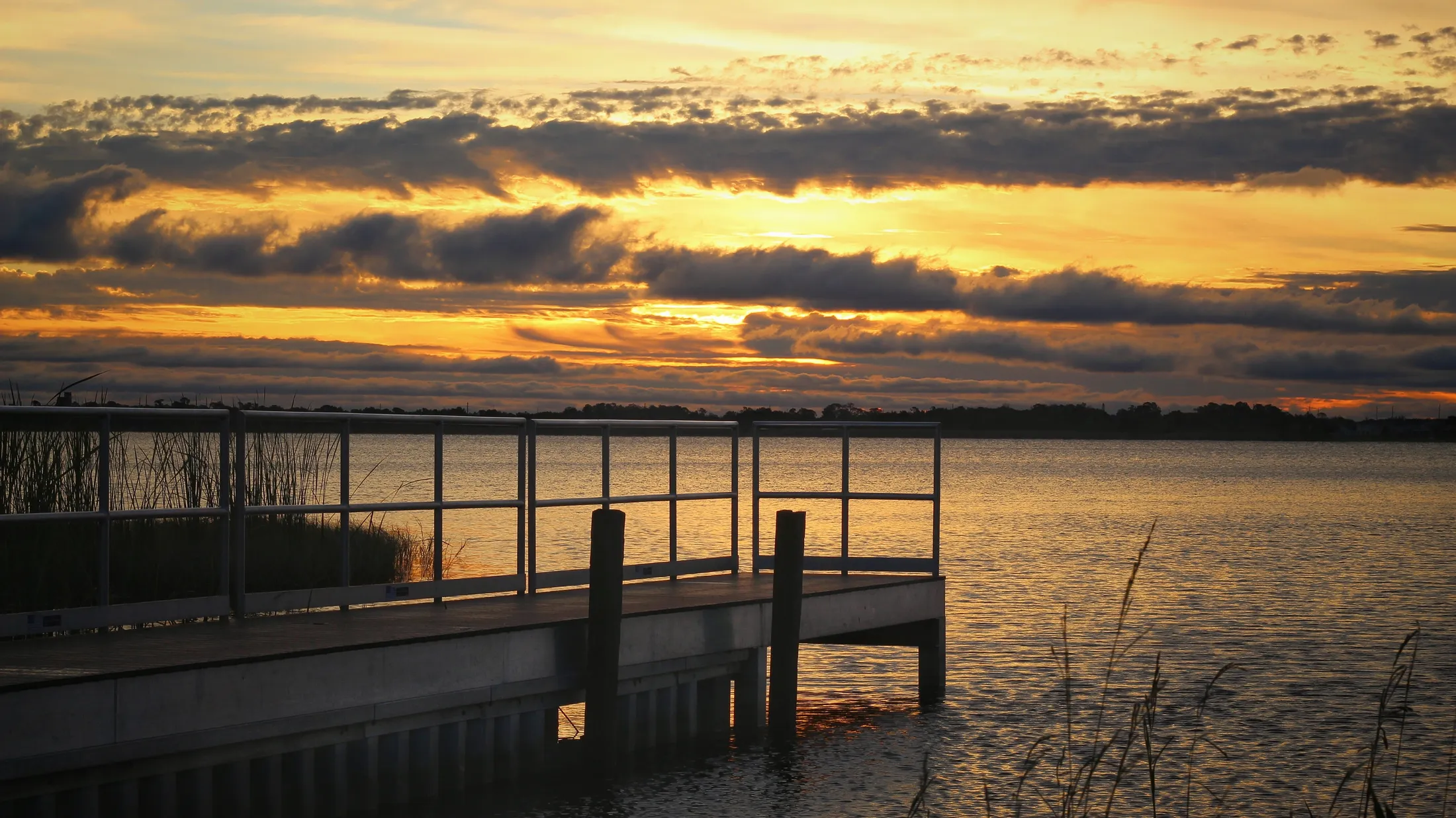 Entry 24866469