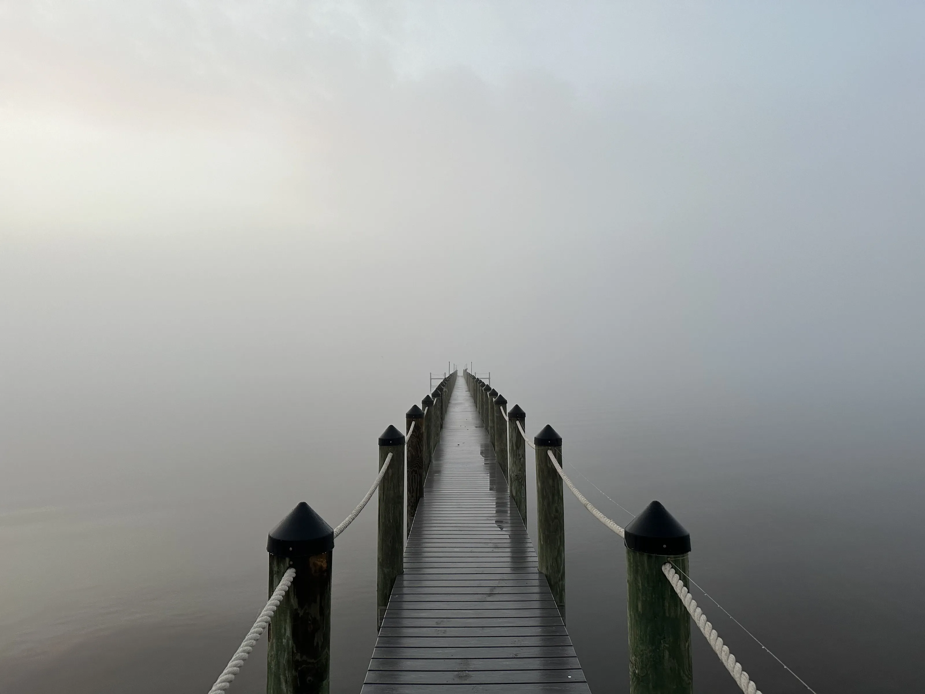 Bay Fog