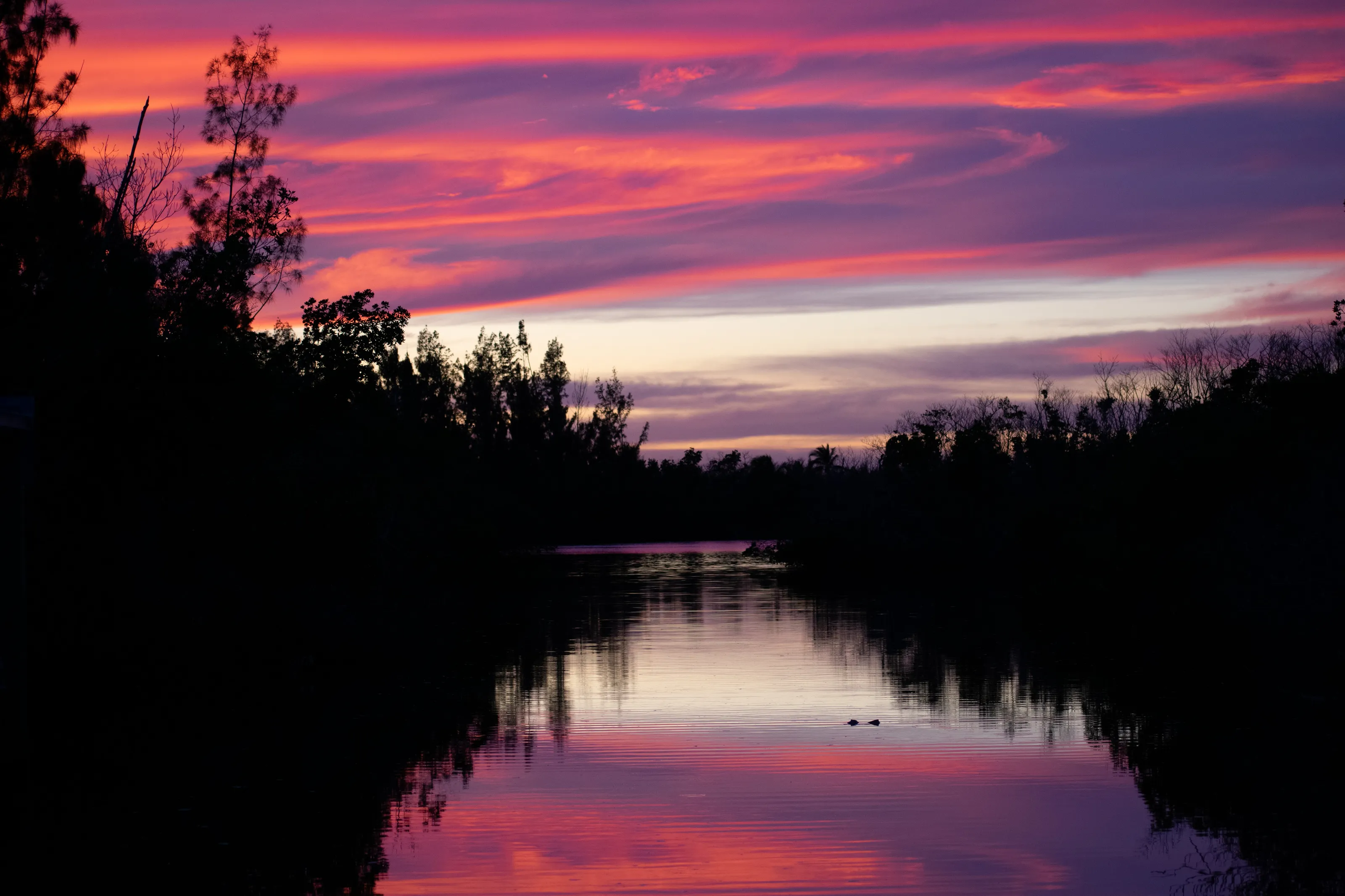 Untouched photo of sunset over mangroves and 40 Acre Bay in Pine Island Florida