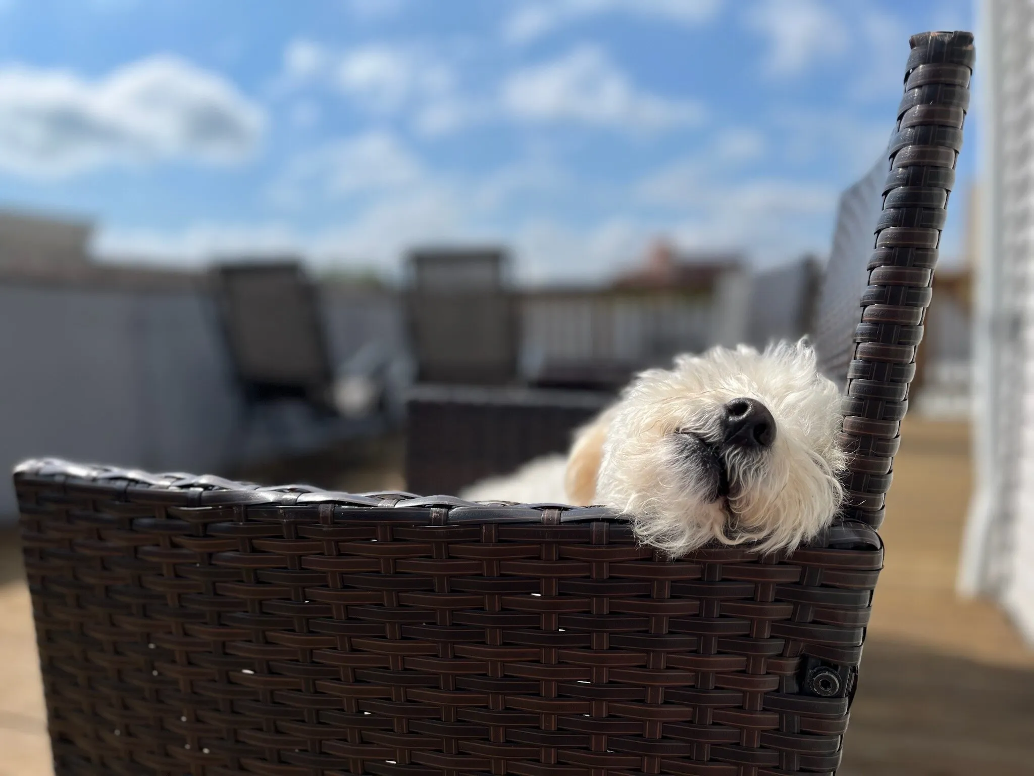 Coco