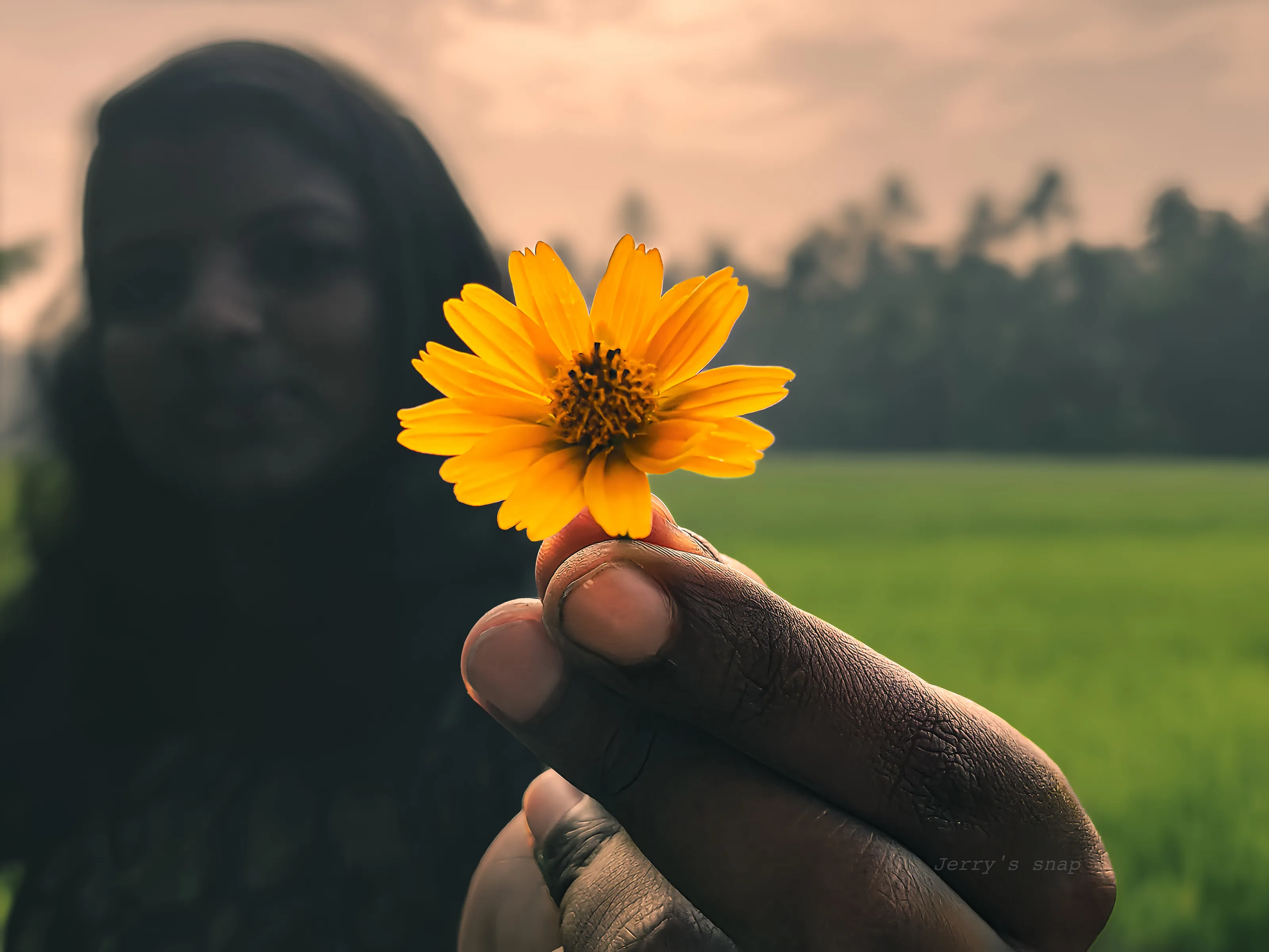 Enjoy the Beauty