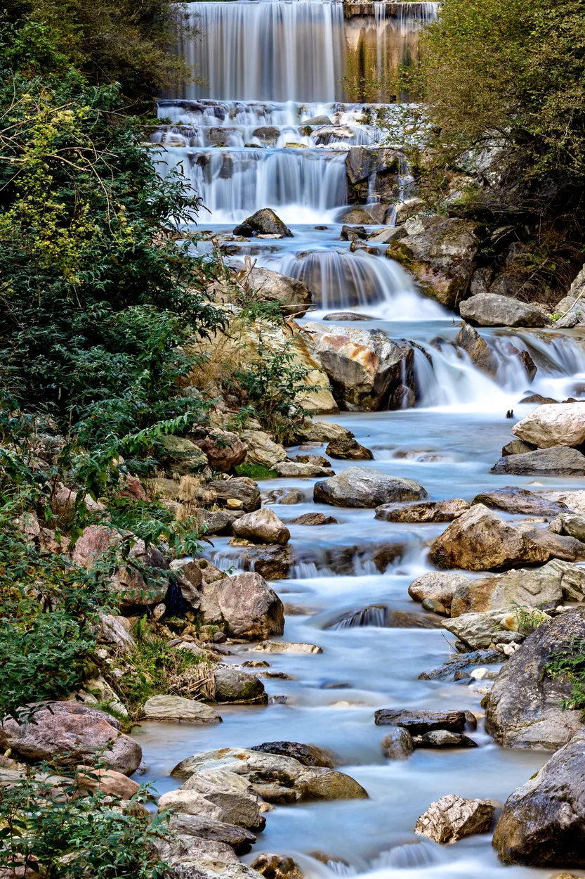 Entry 20845112