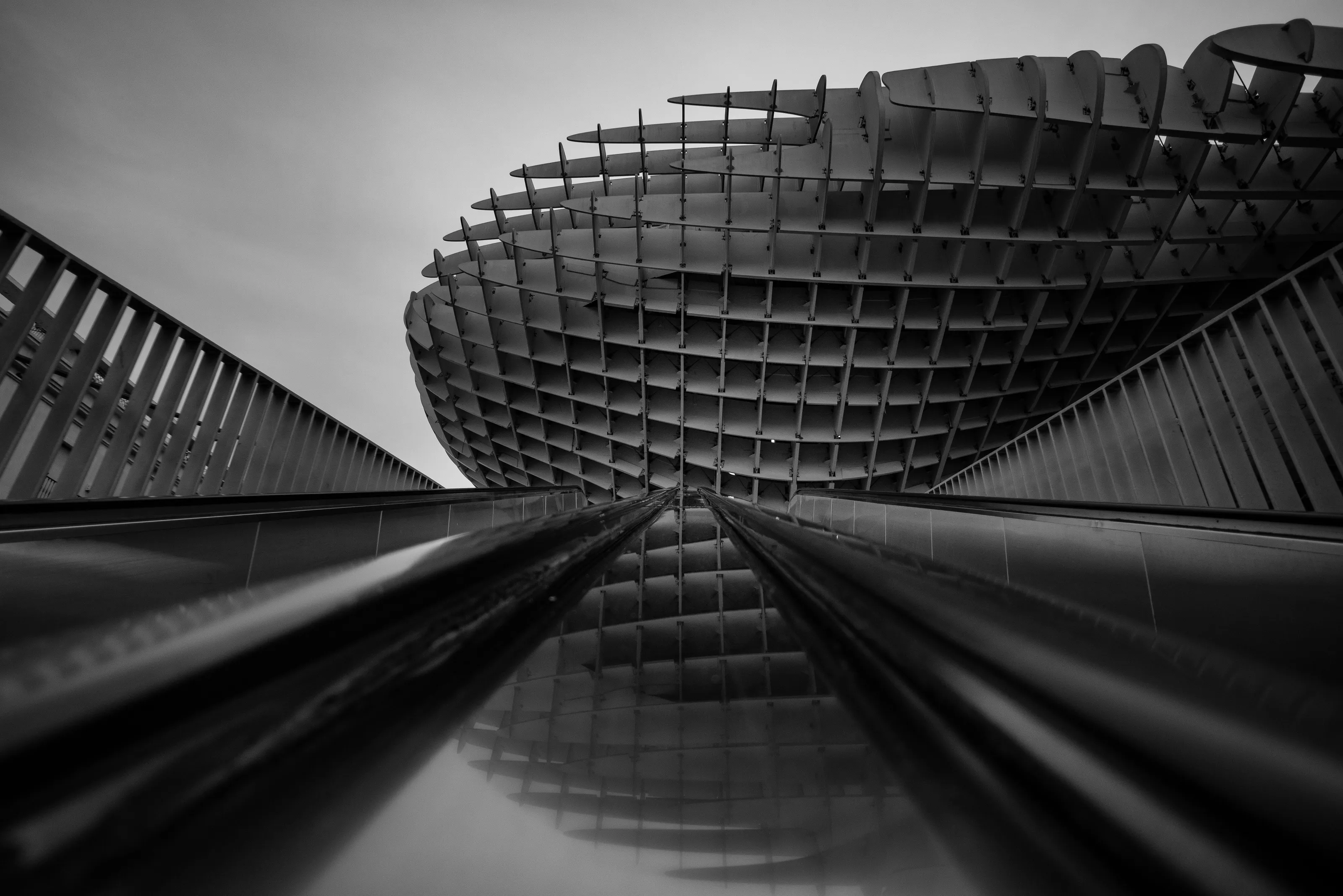 Shapes n' Lines